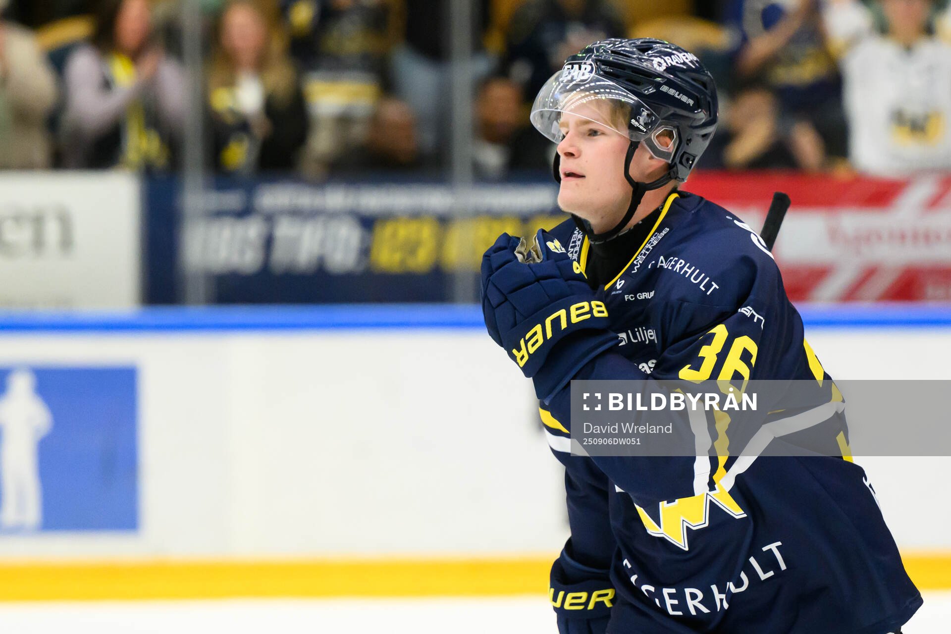 HV71s Martin Johnsen jublar