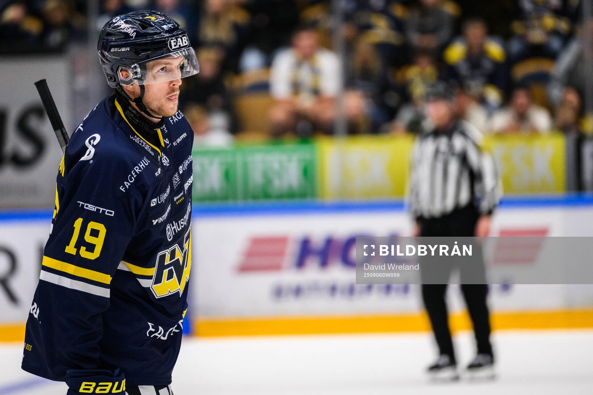 HV71s Niklas Hansson