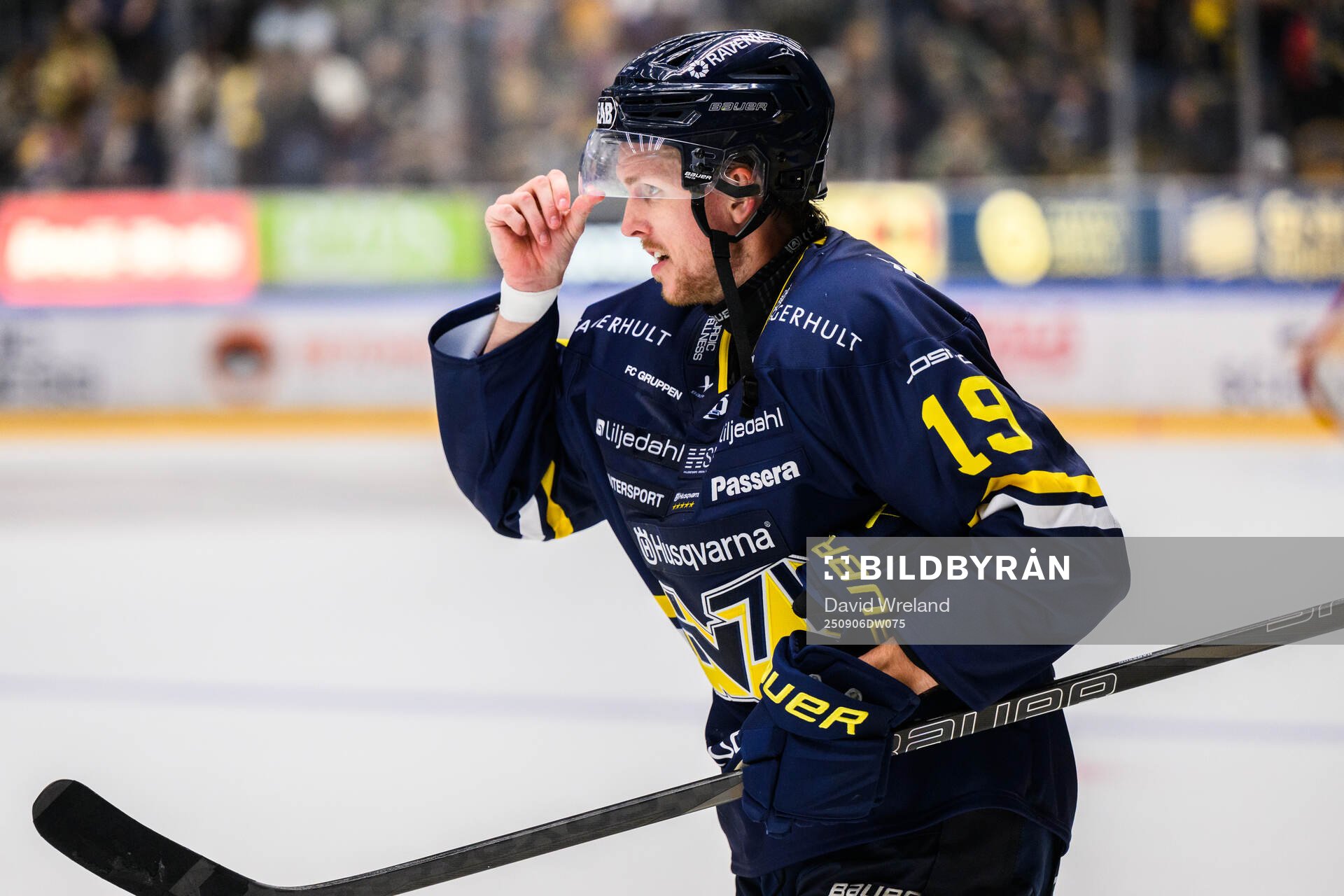 HV71s Niklas Hansson