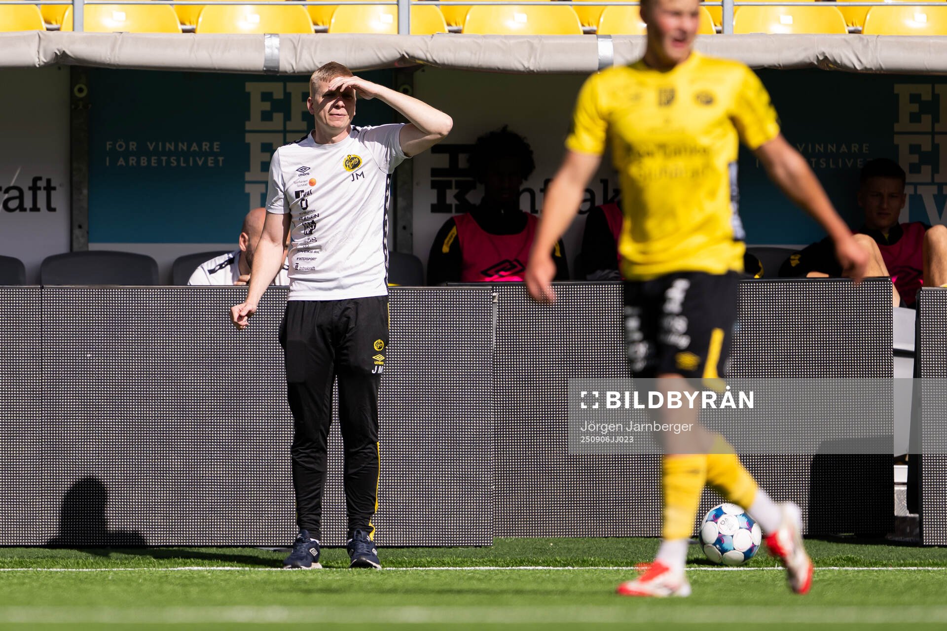 Elfsborgs tränare Johan Mattsson