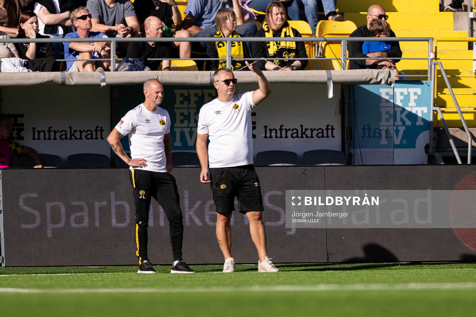 Elfsborgs assisterande tränare Johan Lundwall och tränare