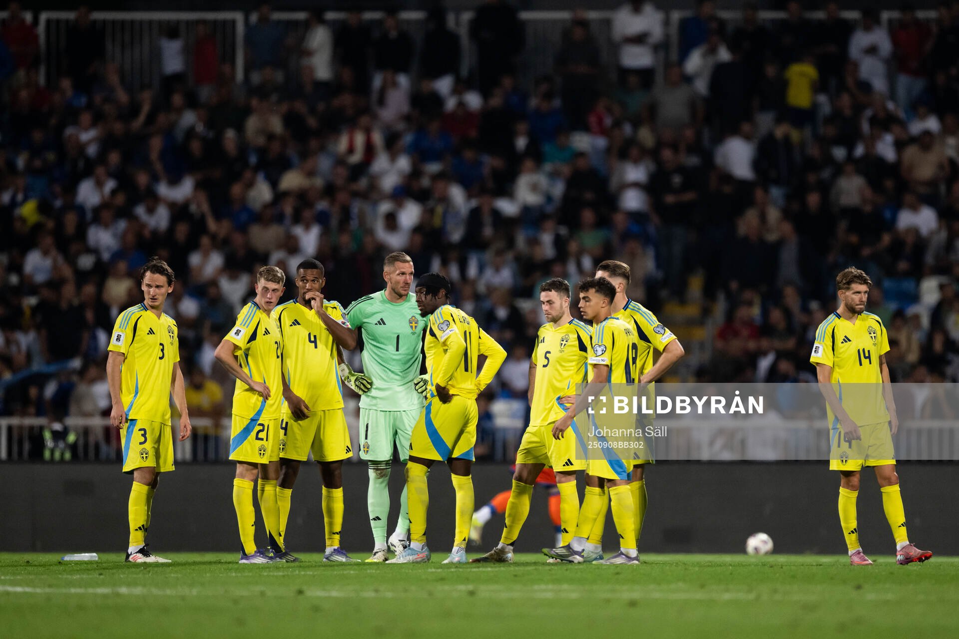 Players of Sweden
