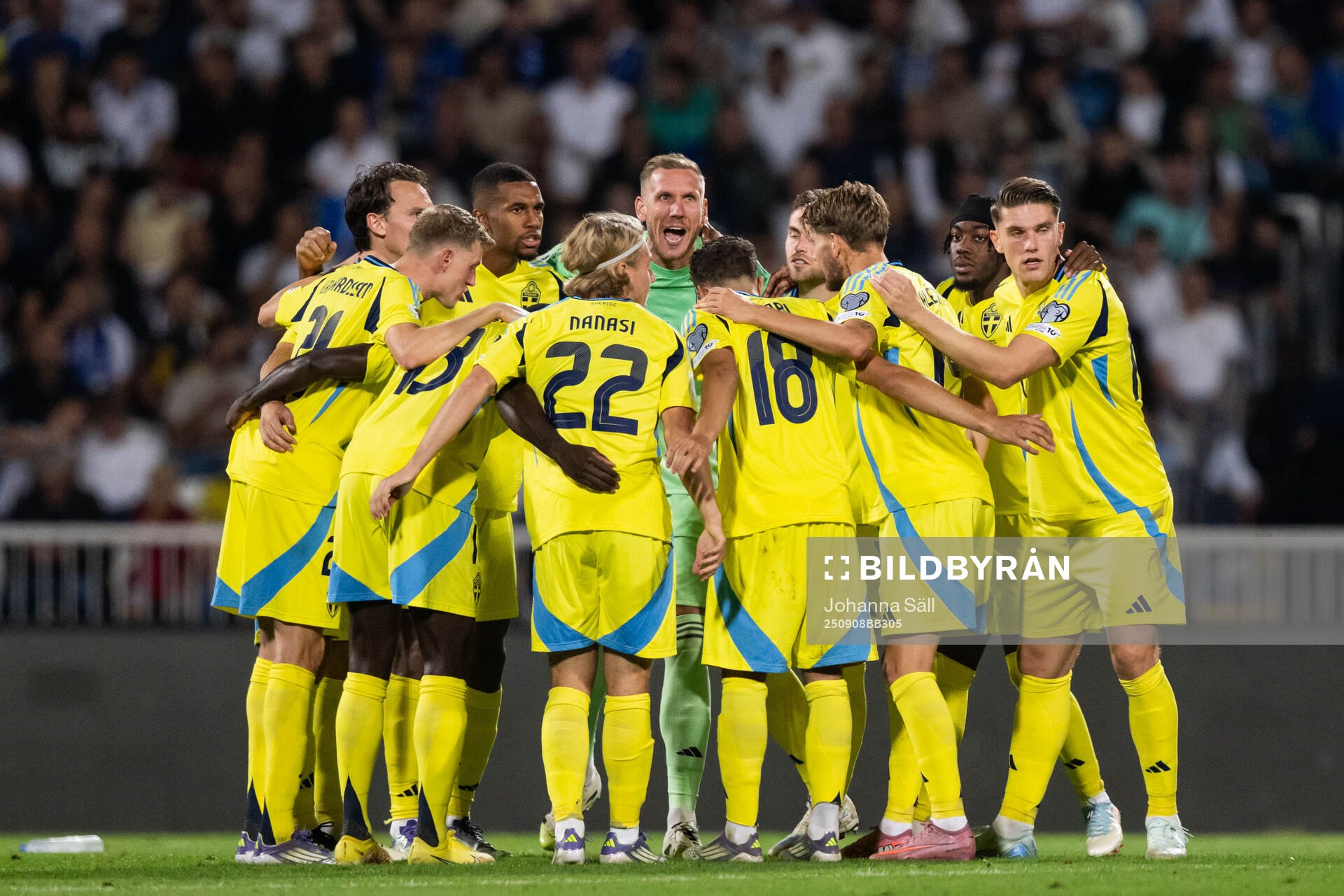 Players of Sweden