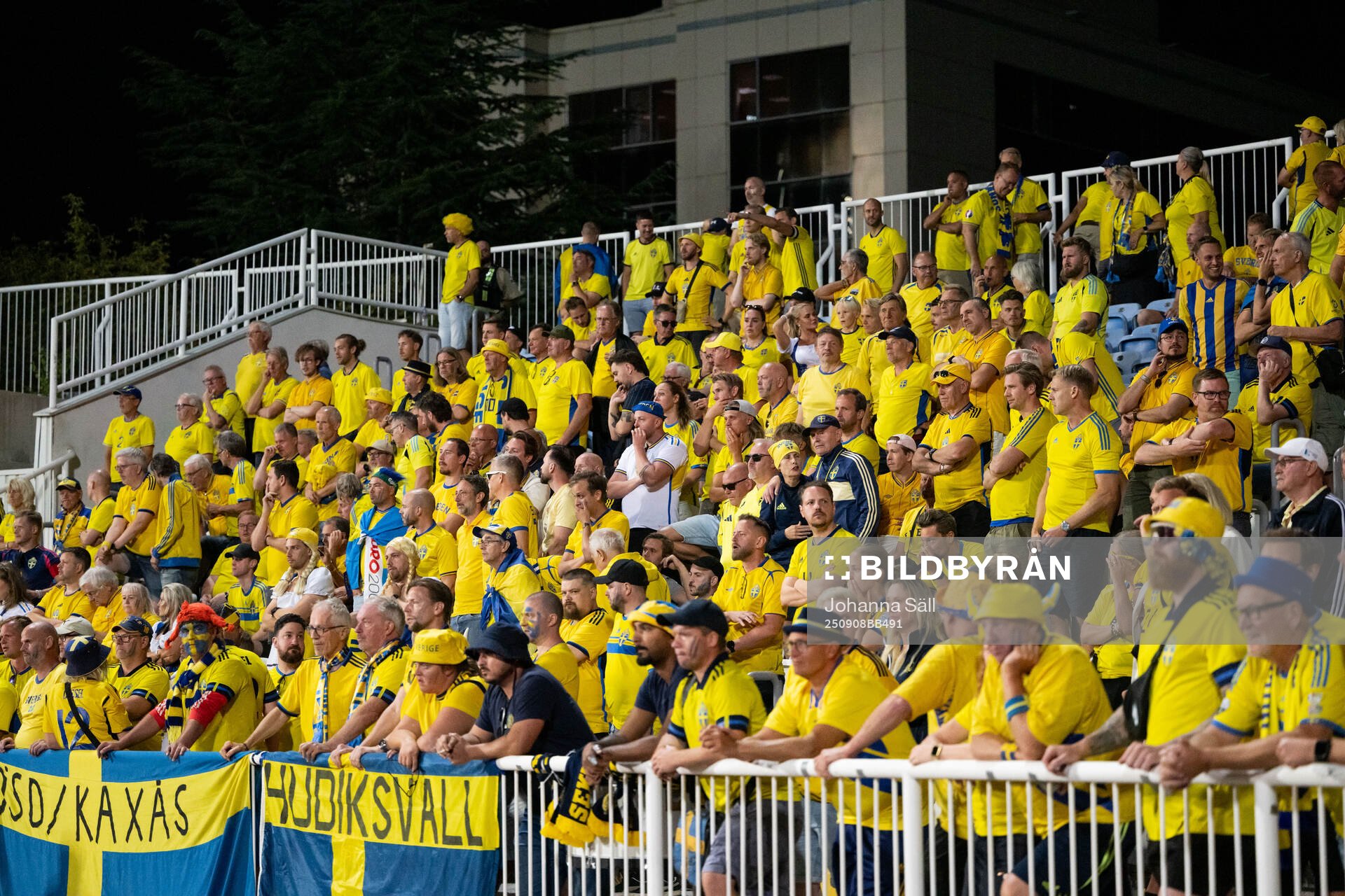 Fans of Sweden