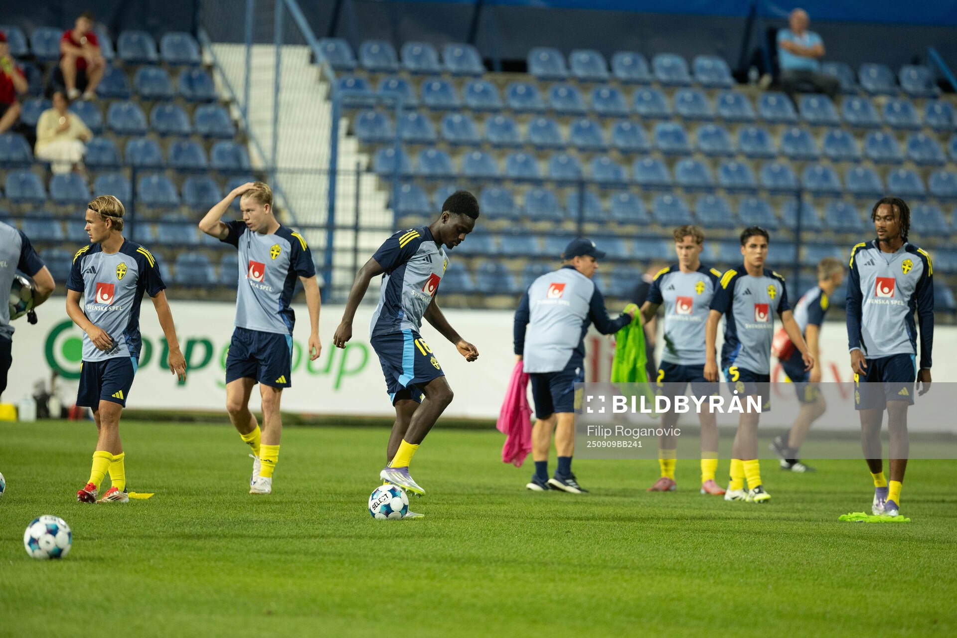 Players of Sweden
