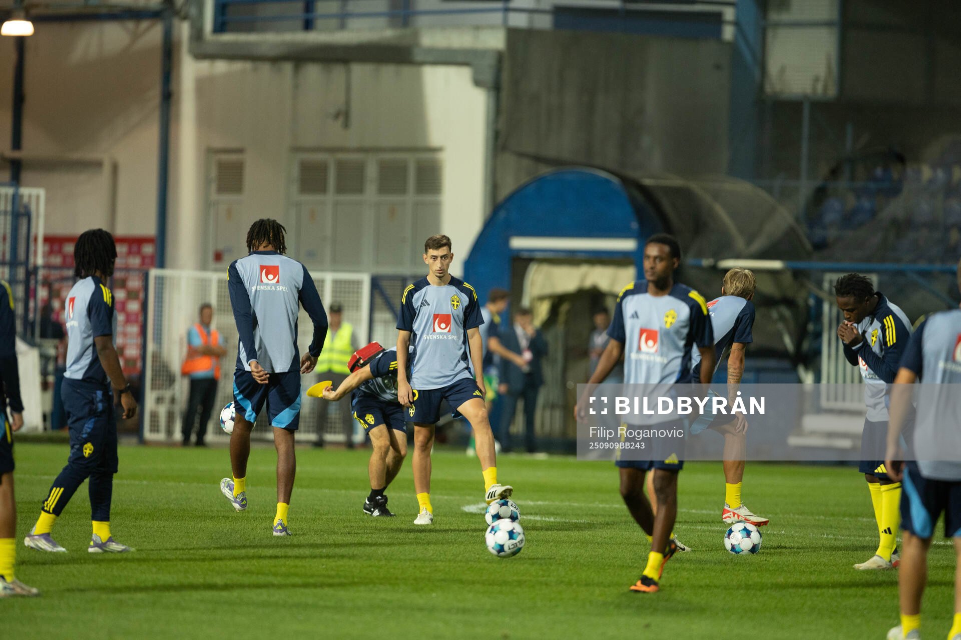 Players of Sweden