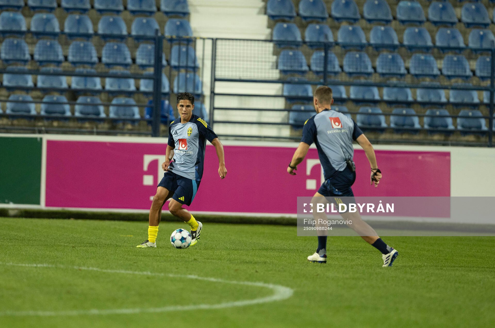 Players of Sweden