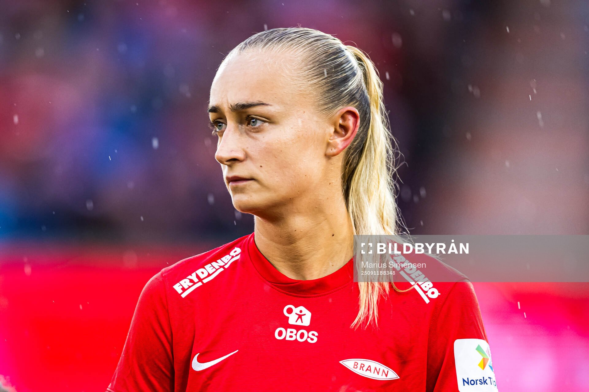 Lauren Alison Davidson of Brann
