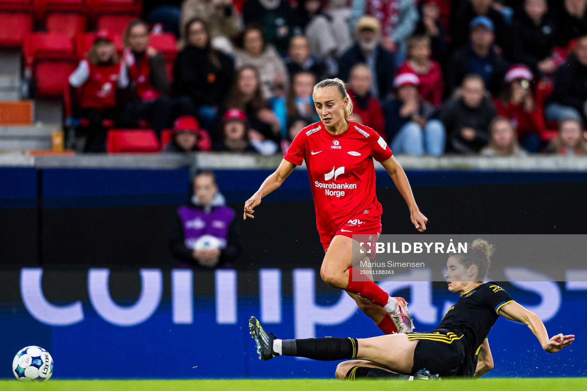 Lauren Alison Davidson of Brann