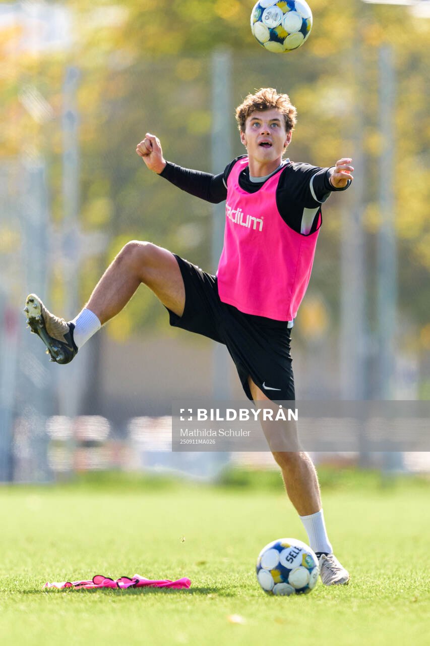 Max Nilsson