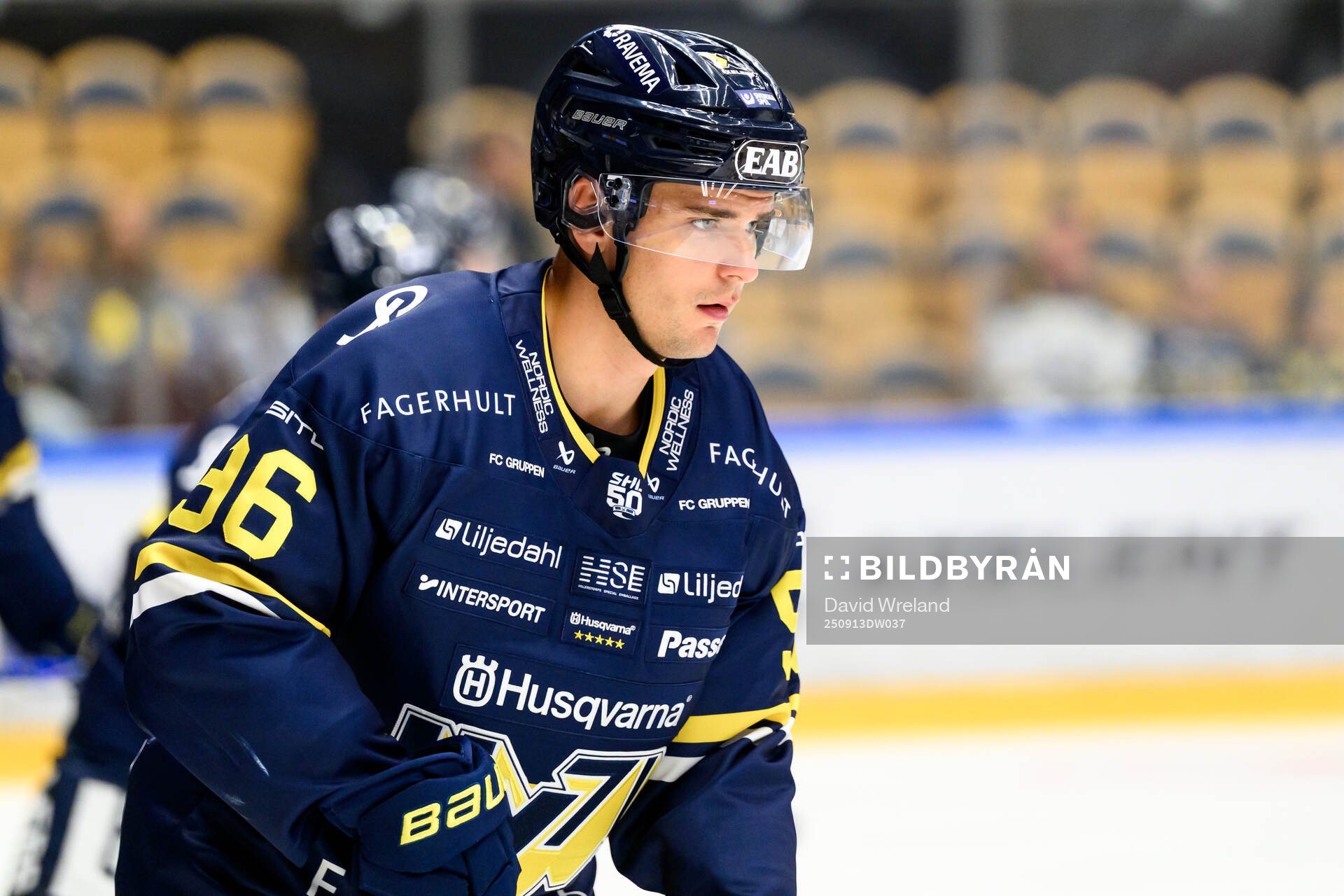 HV71s Nikola Pasic