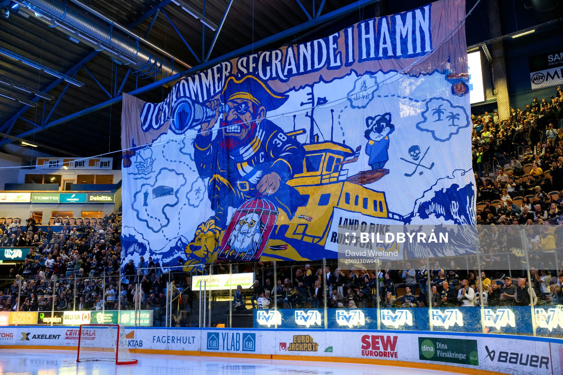 HV71s  tifo