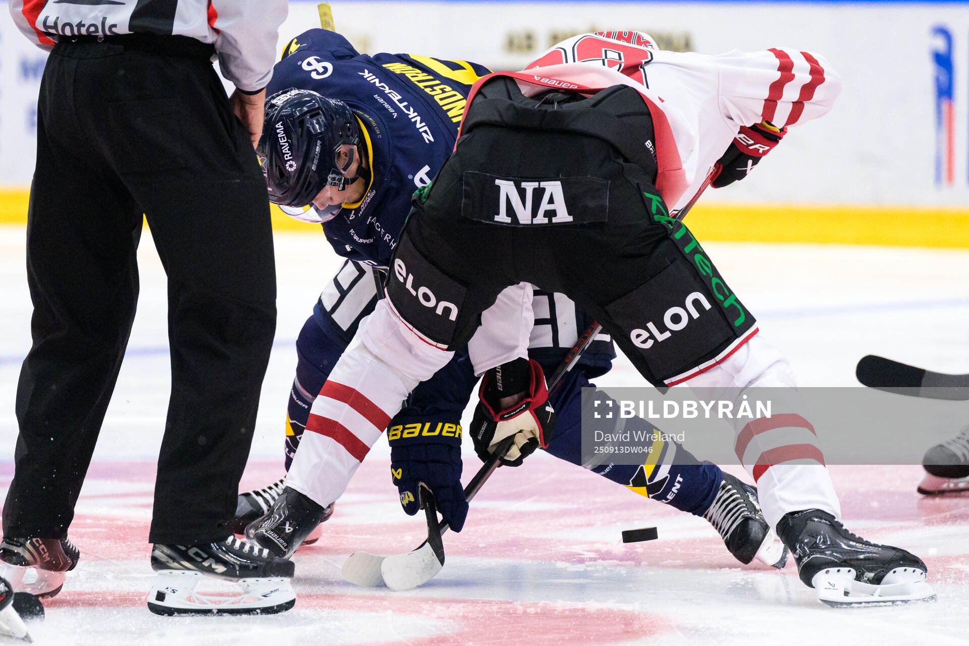 HV71s Linus Lindström