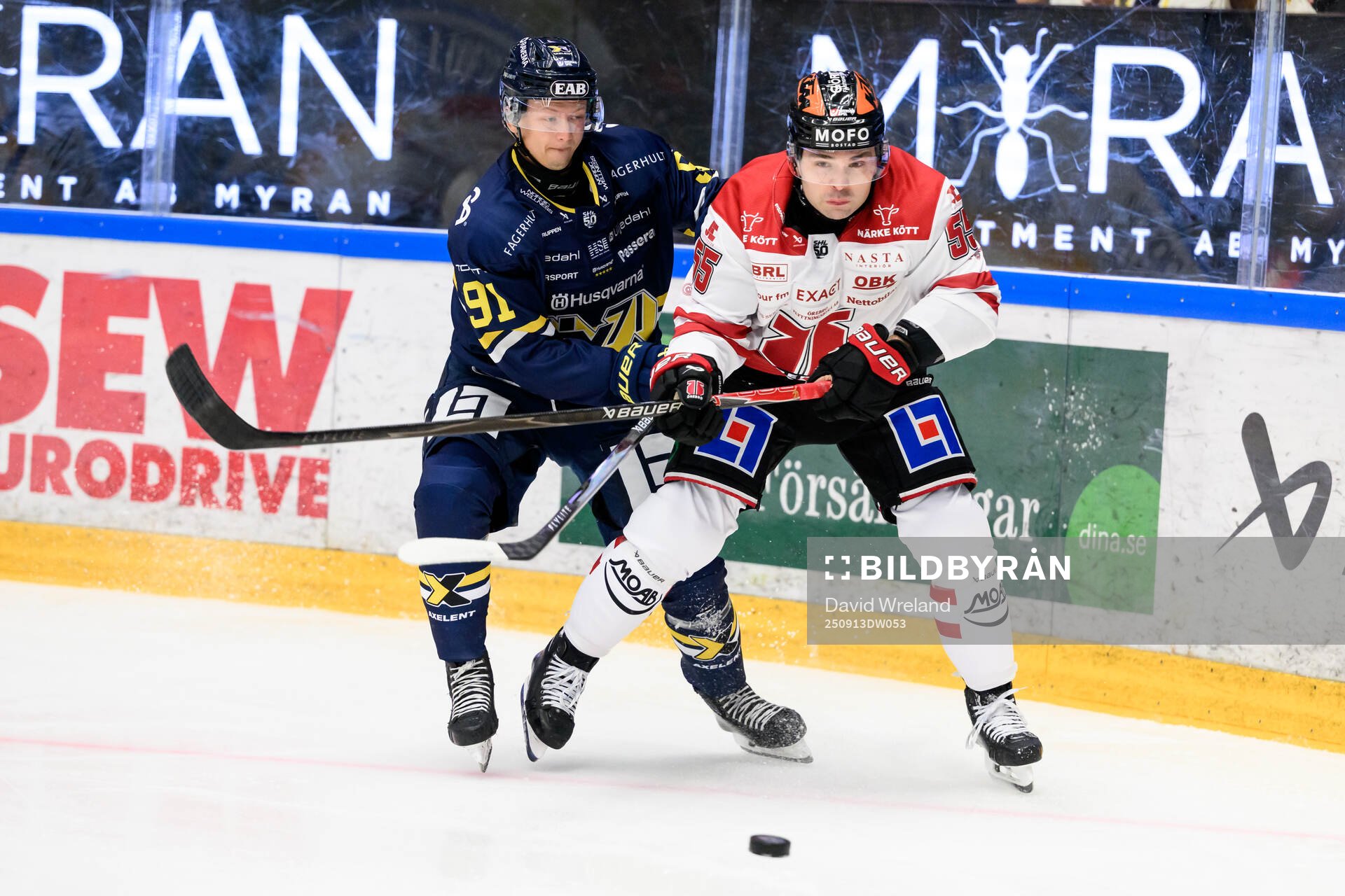 HV71s Aleksi Heponiemi och Örebros David Quenneville