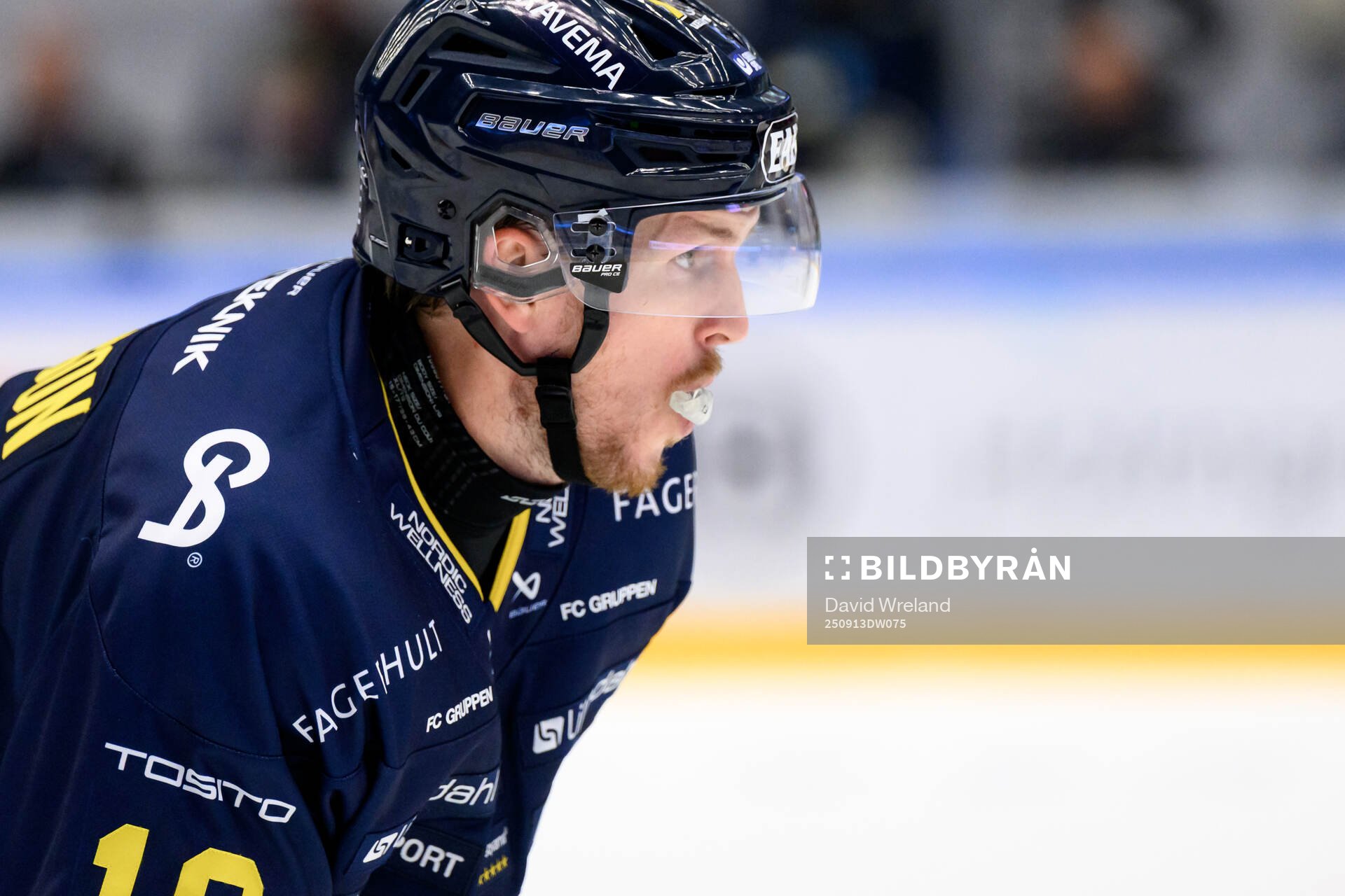 HV71s Niklas Hansson