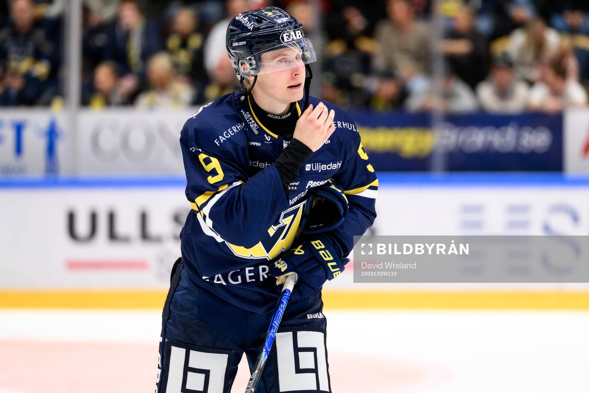 HV71s Hugo Pettersson