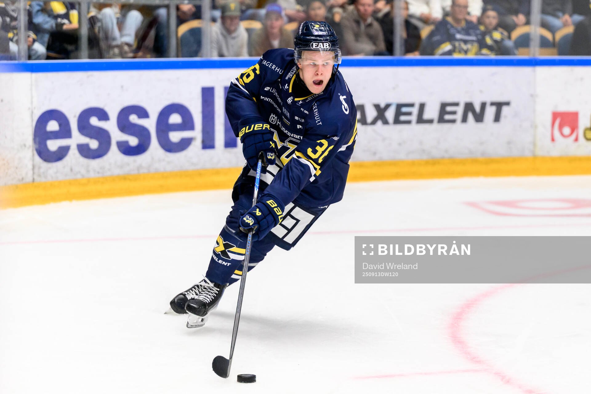HV71s Martin Johnsen