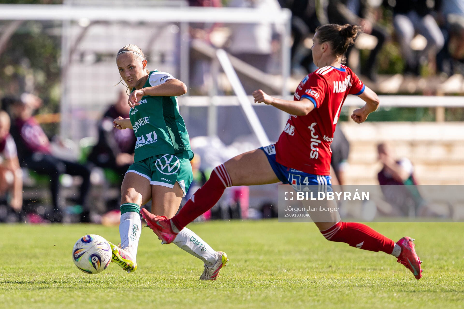 Alingsås Saga Fredgren