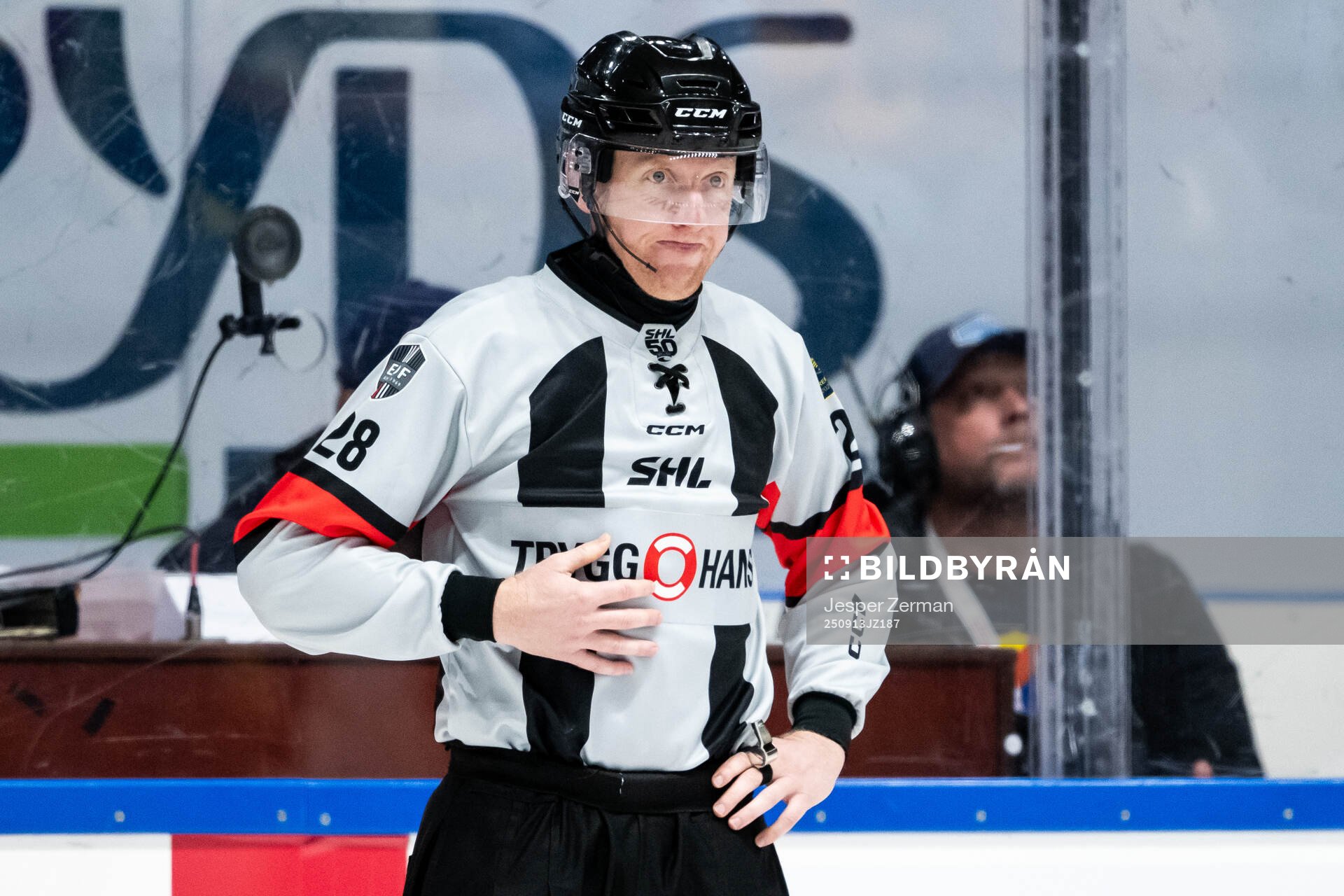 Domare Mikael Holm