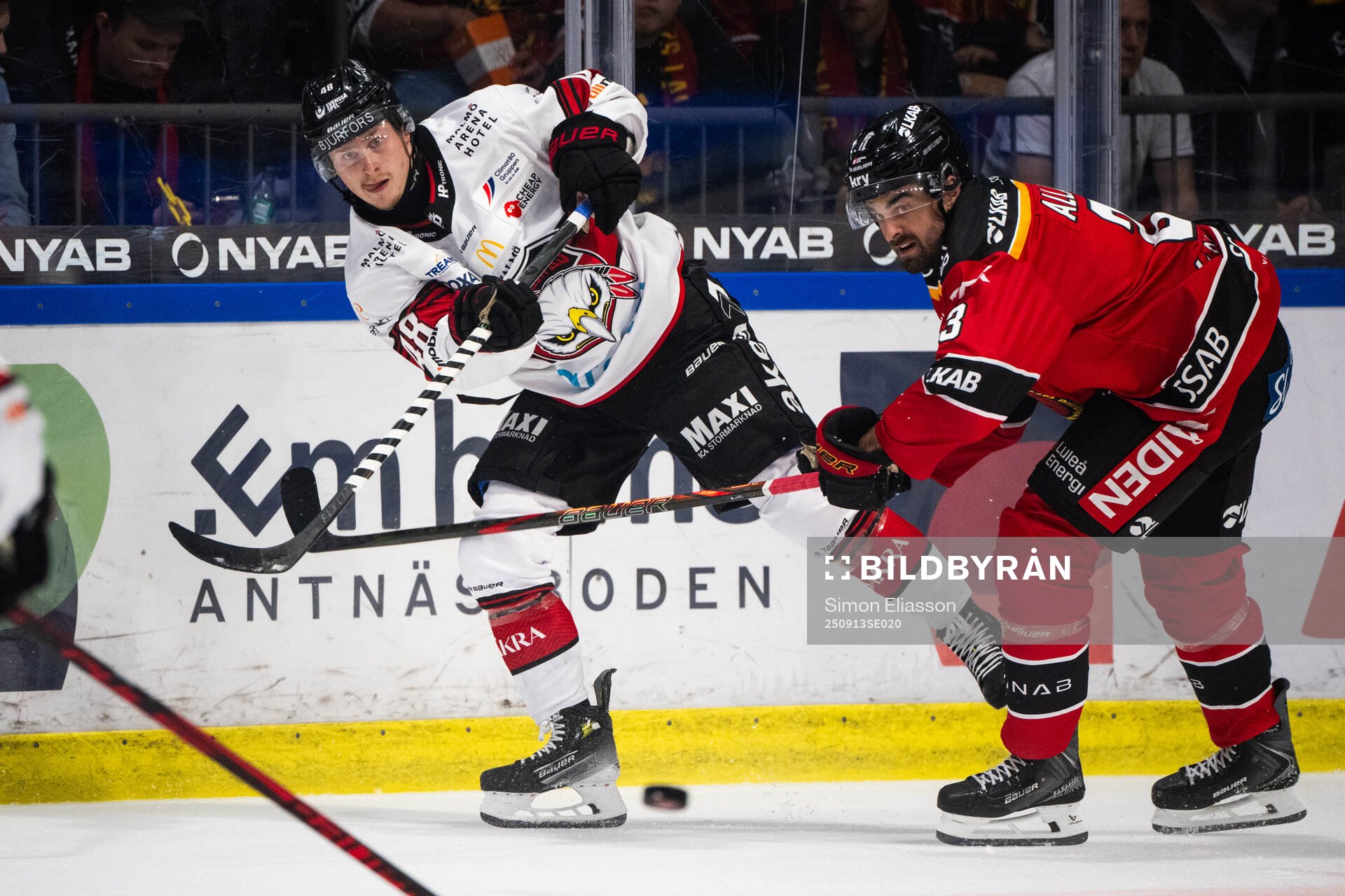 Malmö Redhawks Lauri Pajuniemi och Luleås Frederic Allard