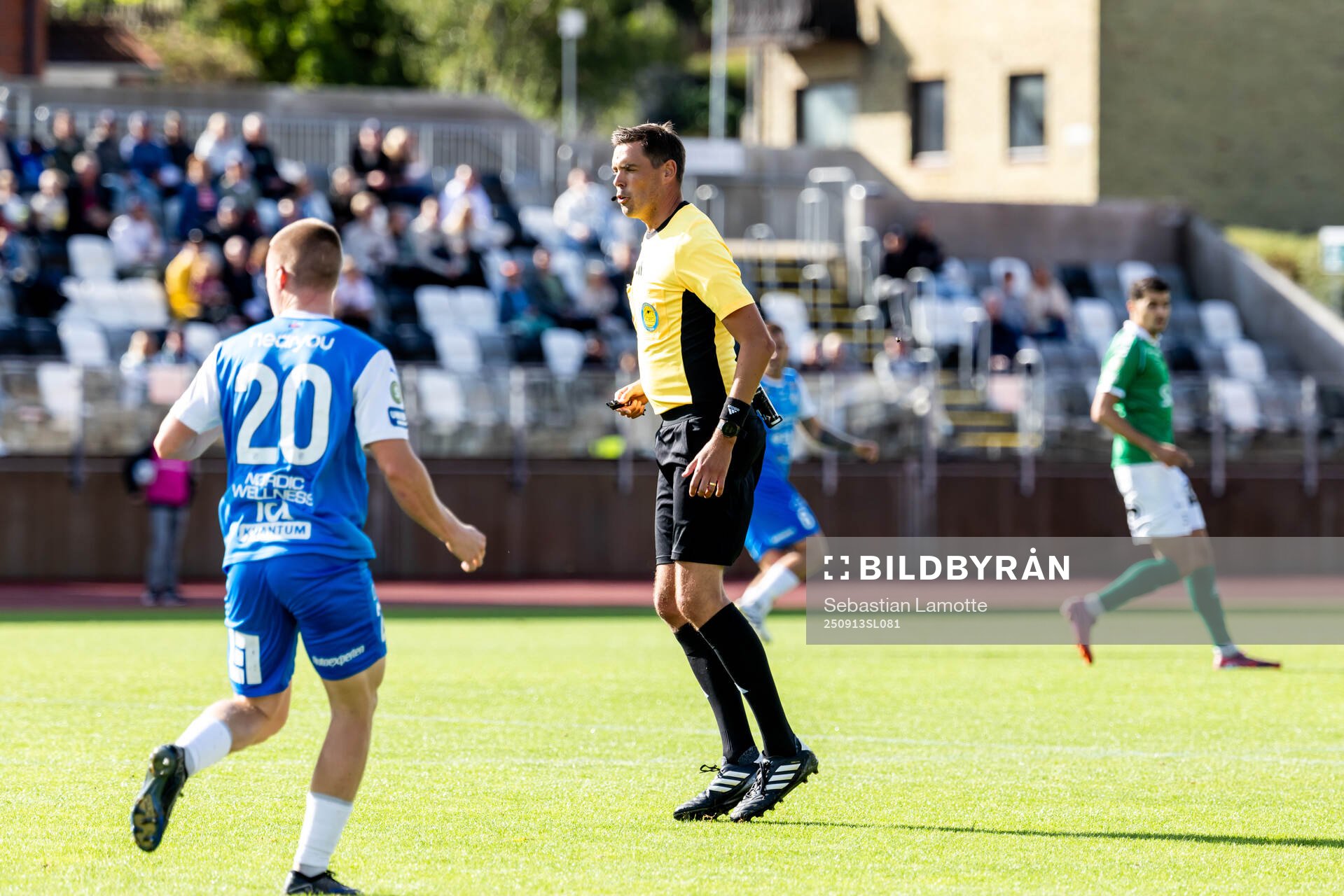 Domare Magnus Lindgren