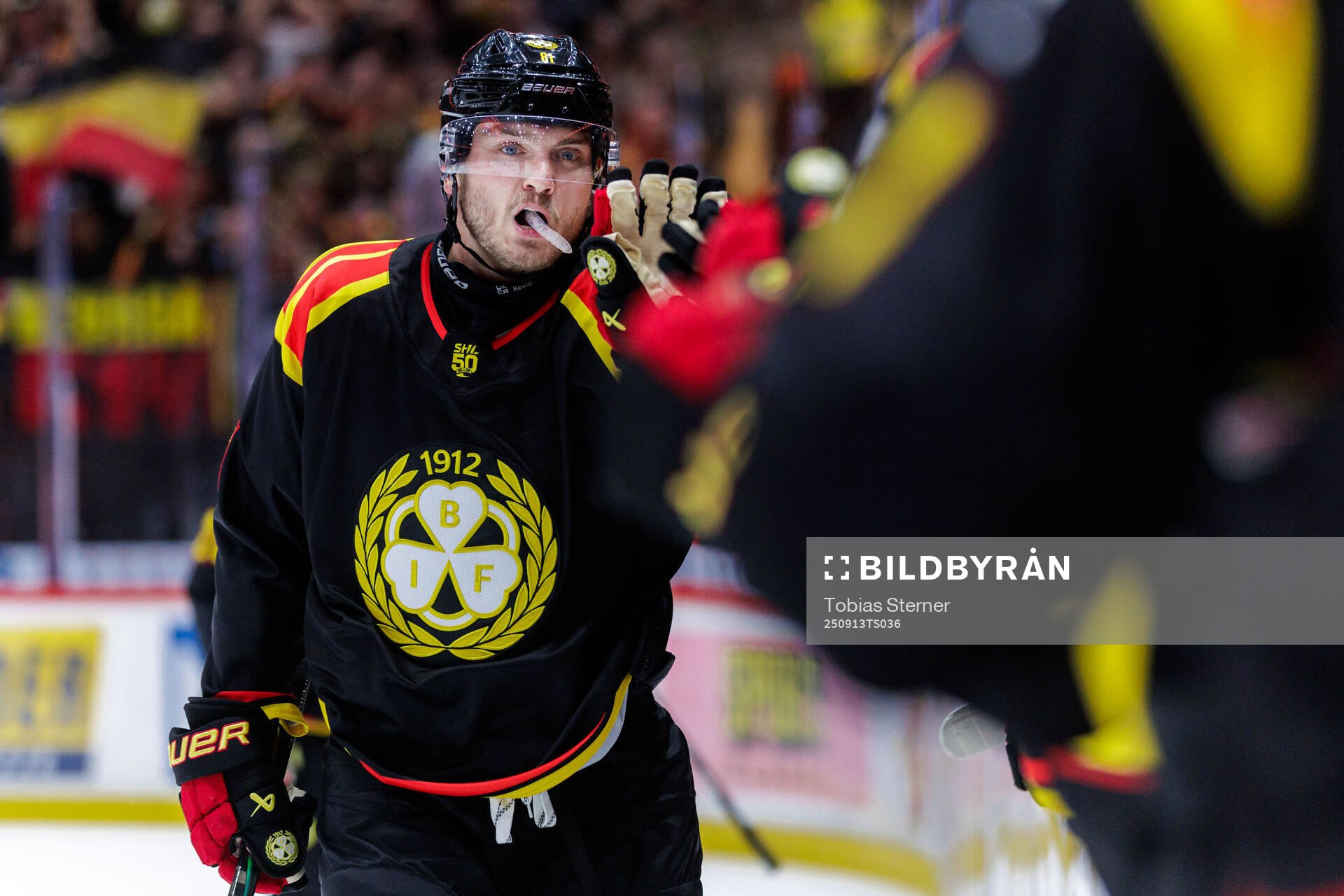 Brynäs Kieffer Bellows jublar