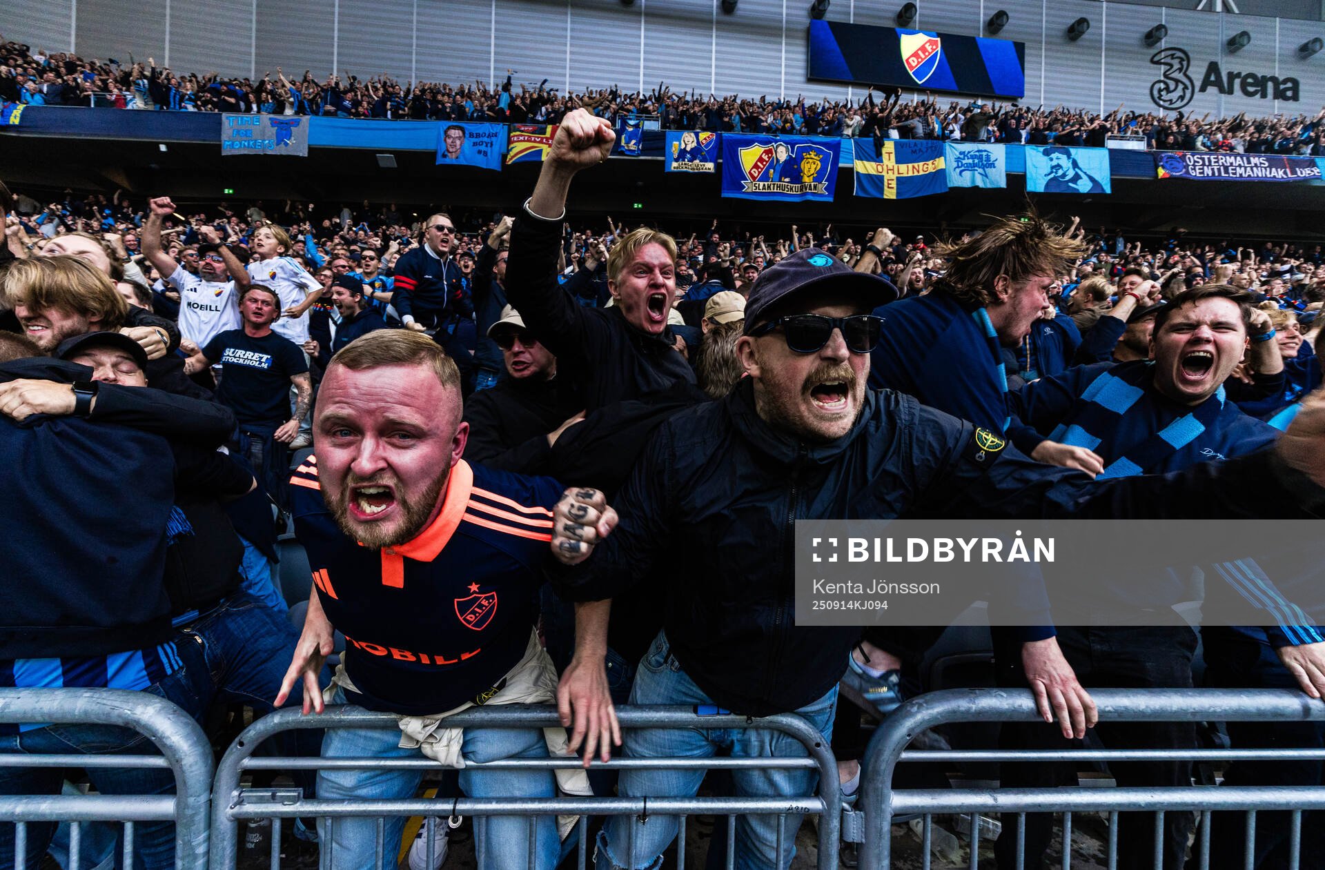 Djurgårdens supportrar jublar