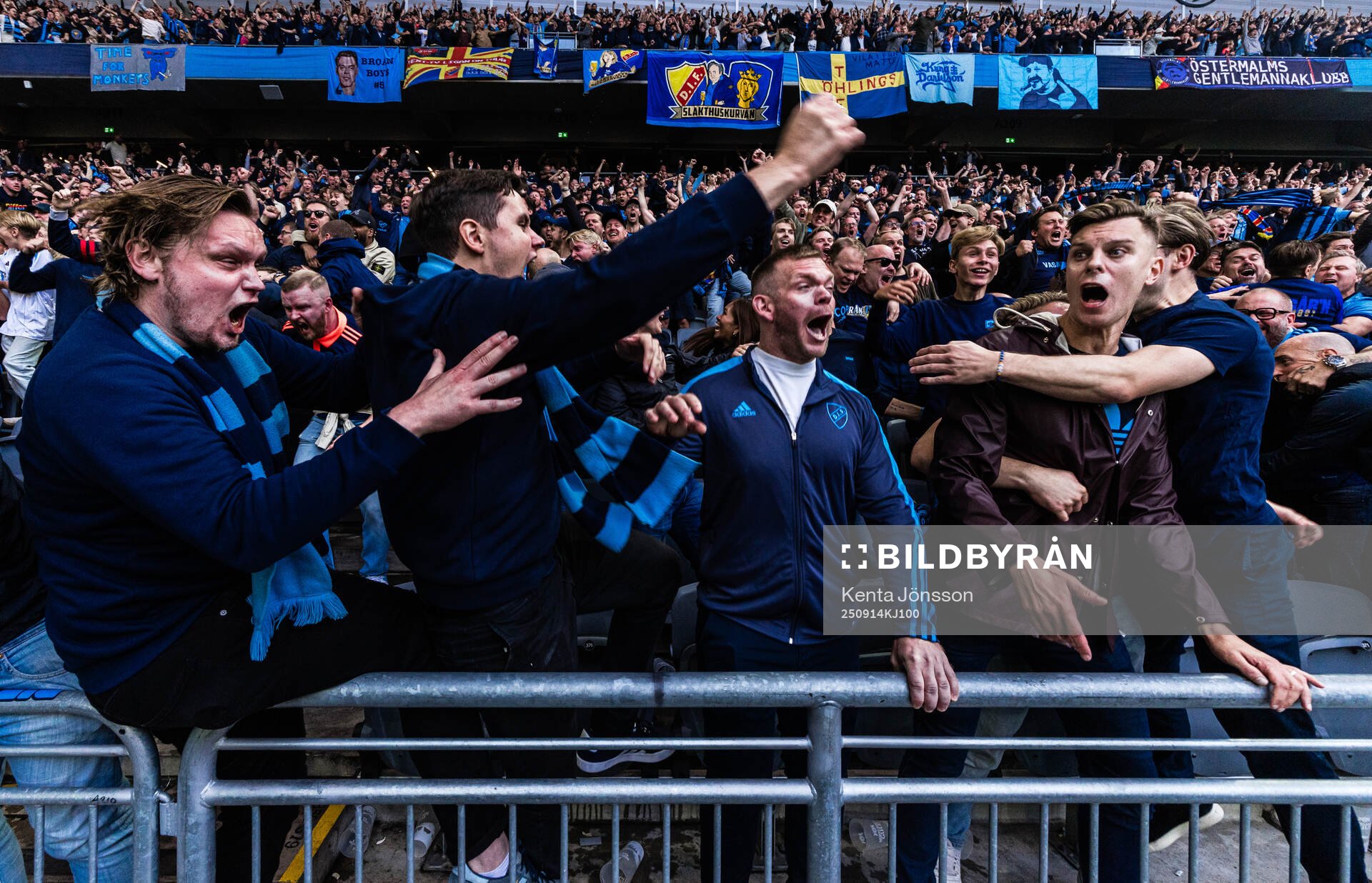 Djurgårdens supportrar jublar