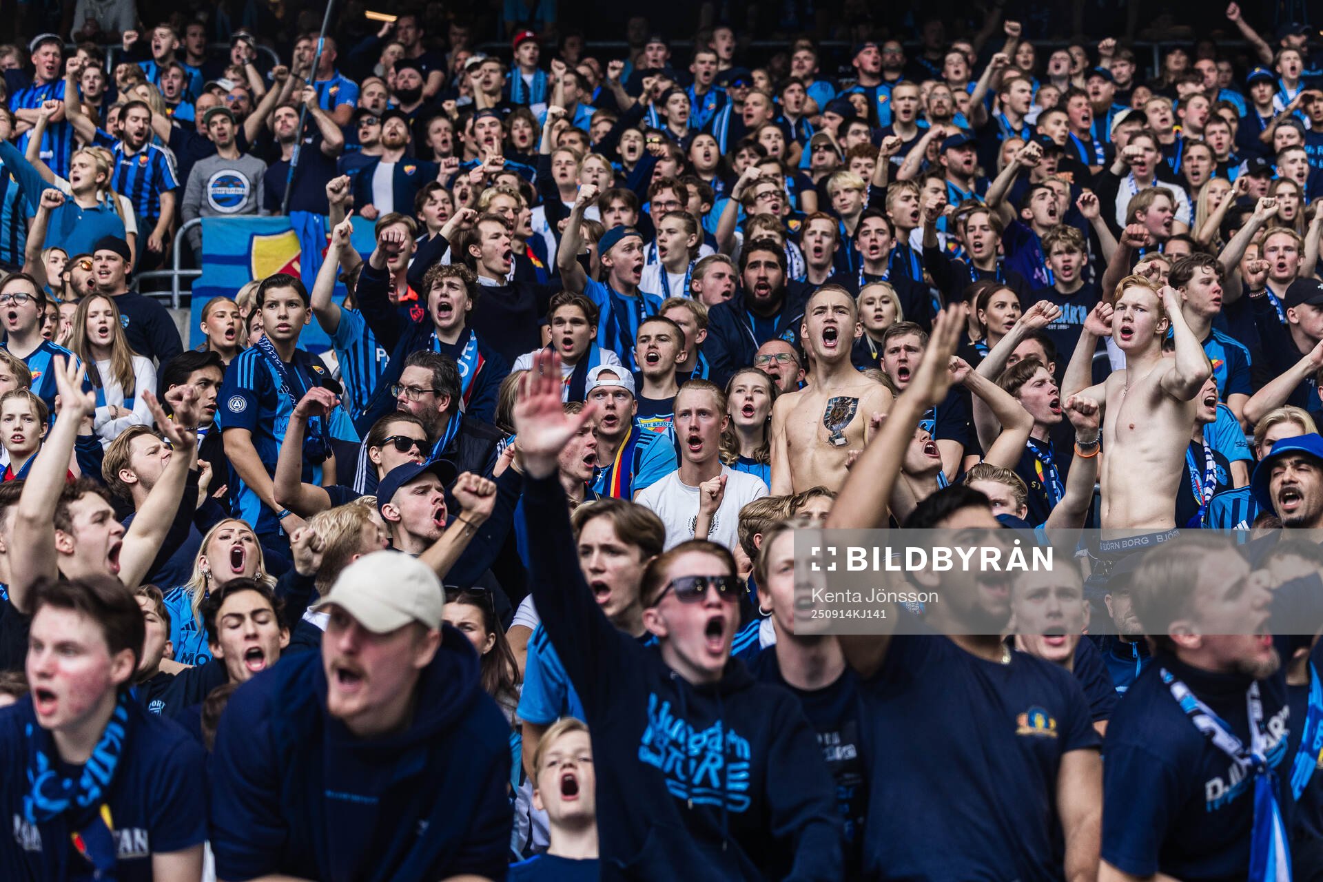 Djurgårdens supportrar