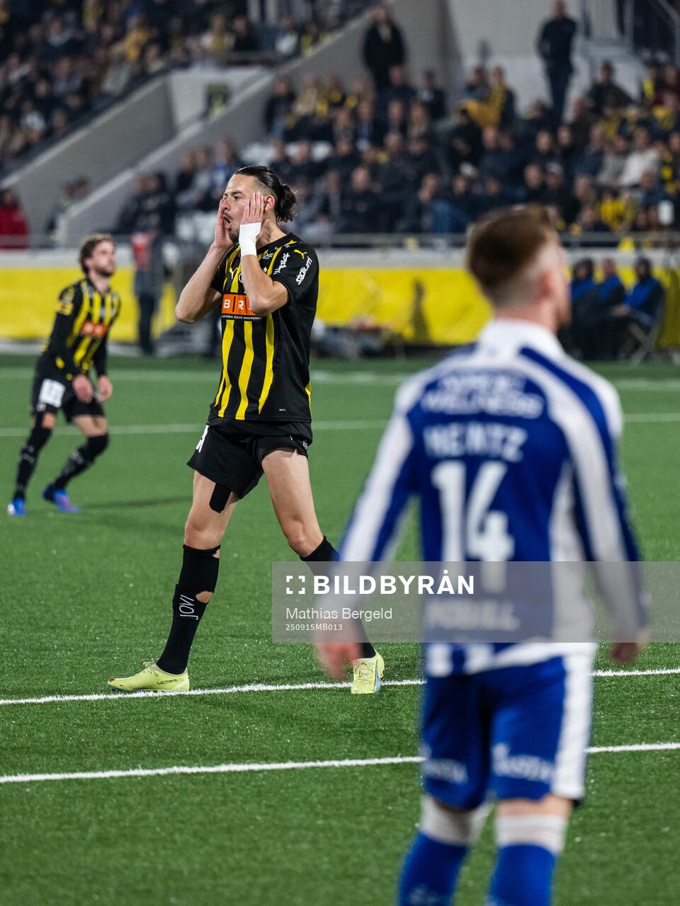 Häckens Amor Layouni deppar