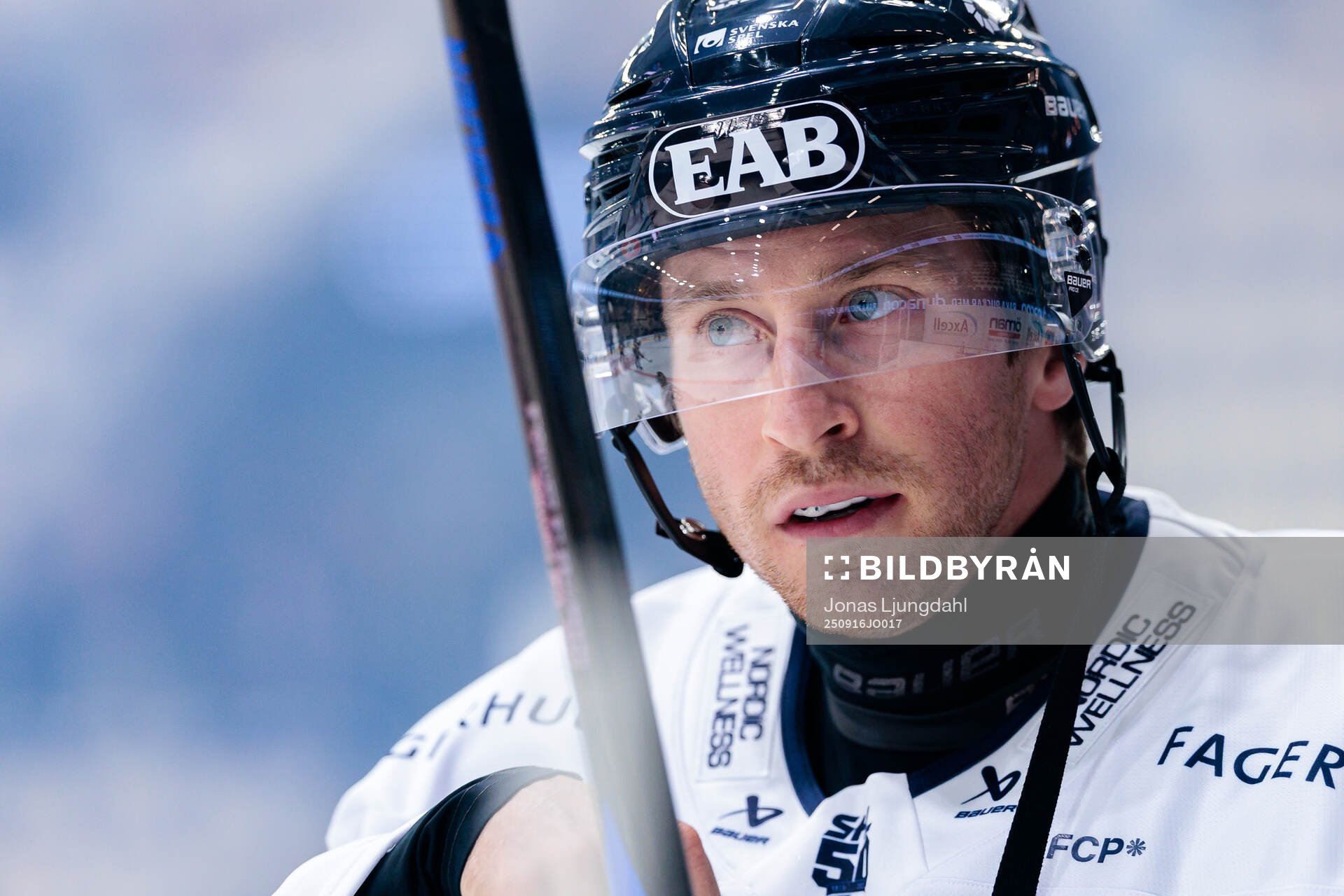 HV71s Justin Glenn Kloos