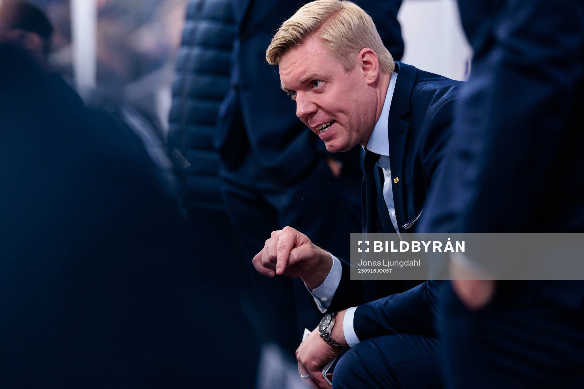 HV71s tränare Anton Blomqvist
