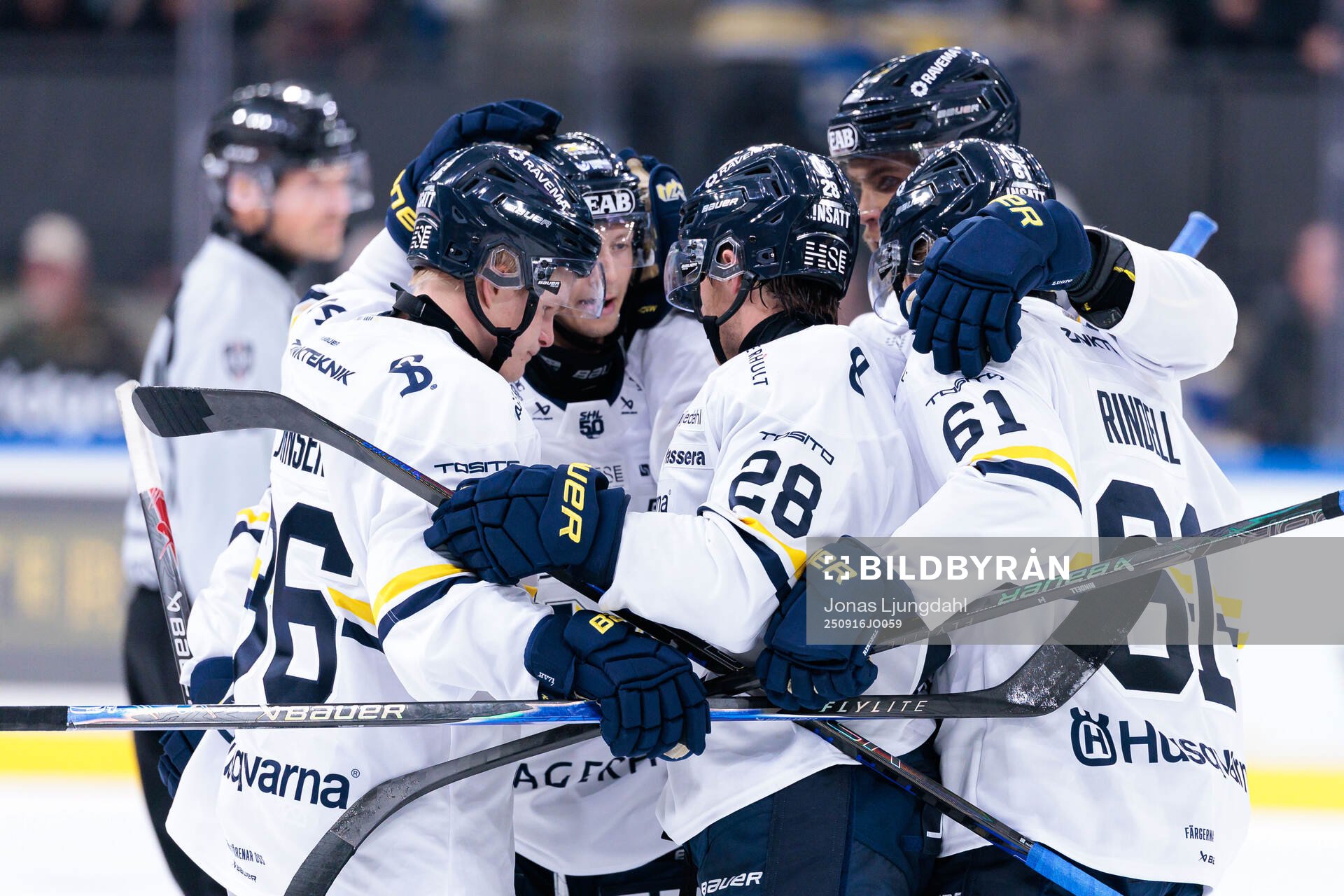HV71s Justin Glenn Kloos jublar