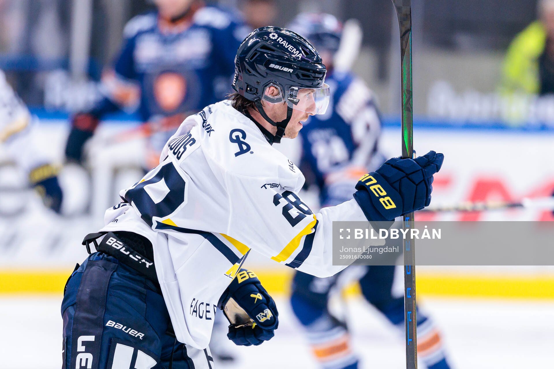 HV71s Justin Glenn Kloos jublar