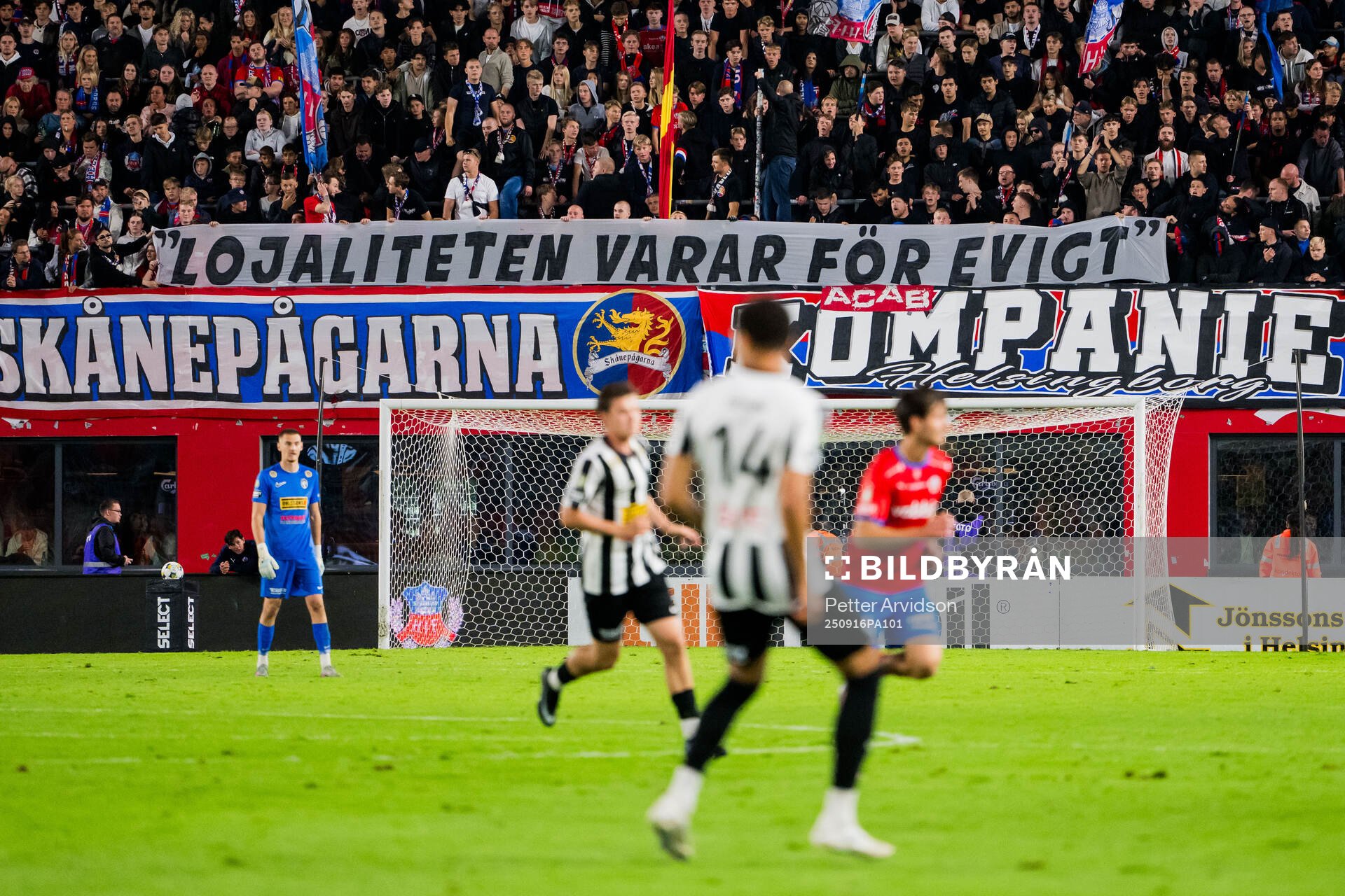 Helsingborgs supportrar