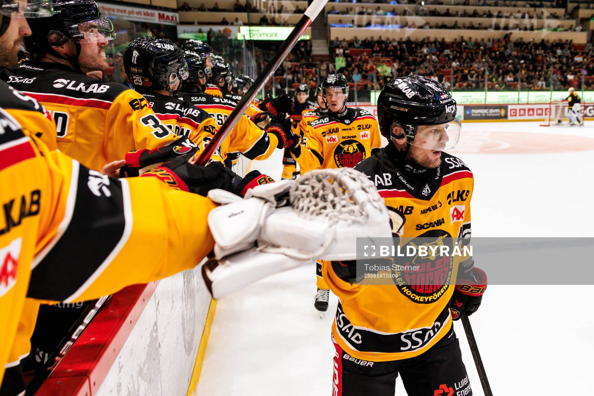 Luleås Brian O'Neill jublar
