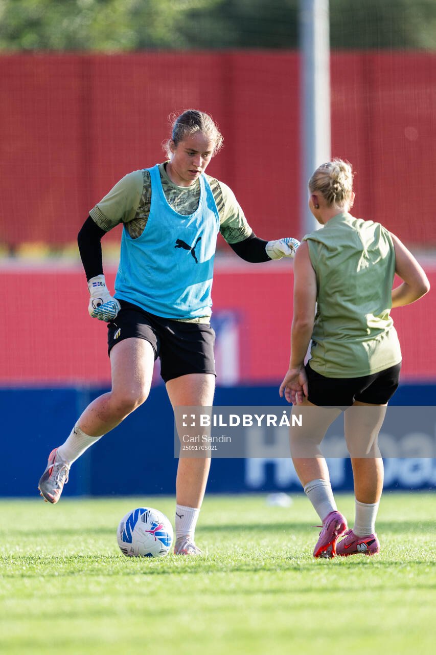 Goalkeeper Fanney Birkisdottir of Häcken