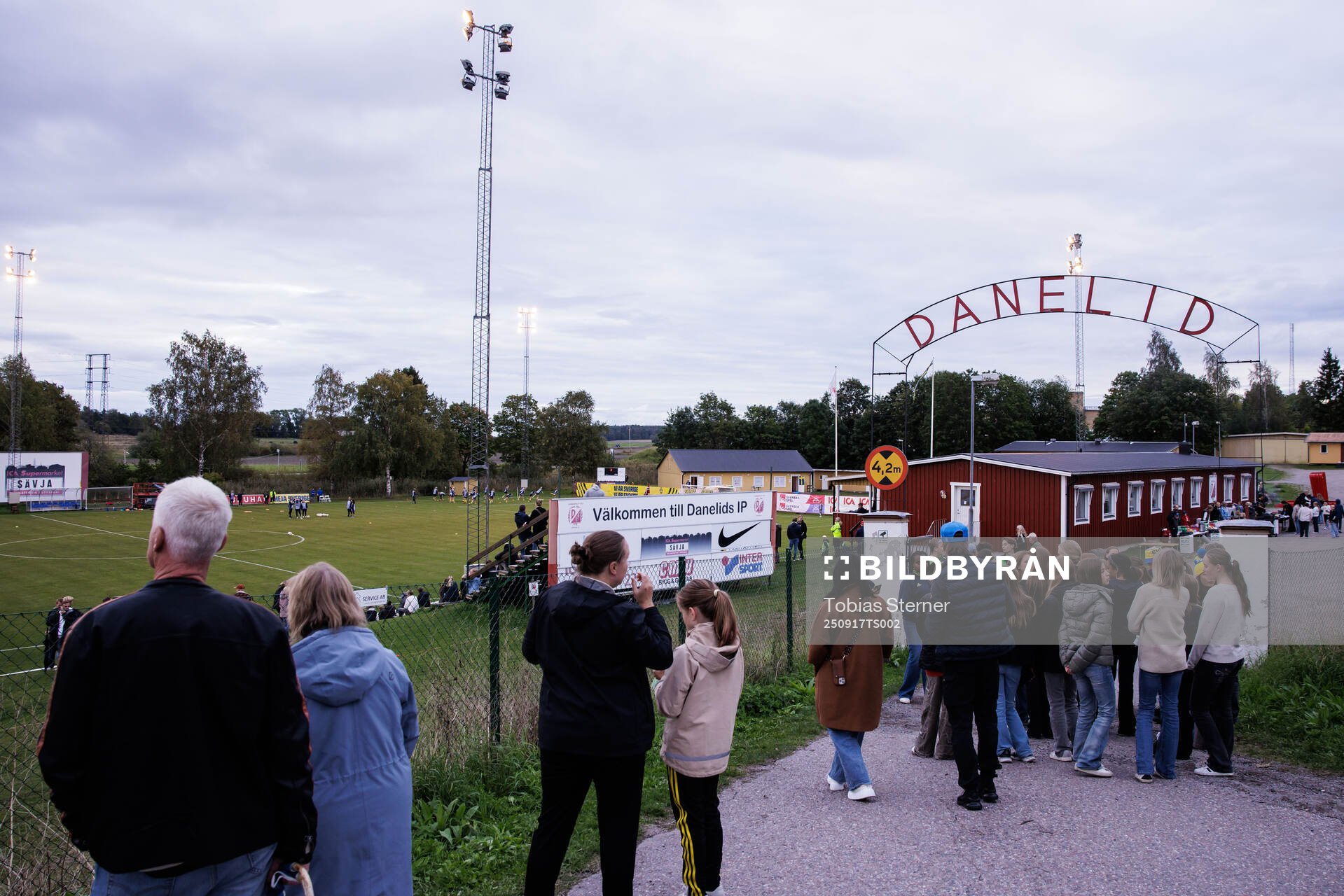 Danelids IP