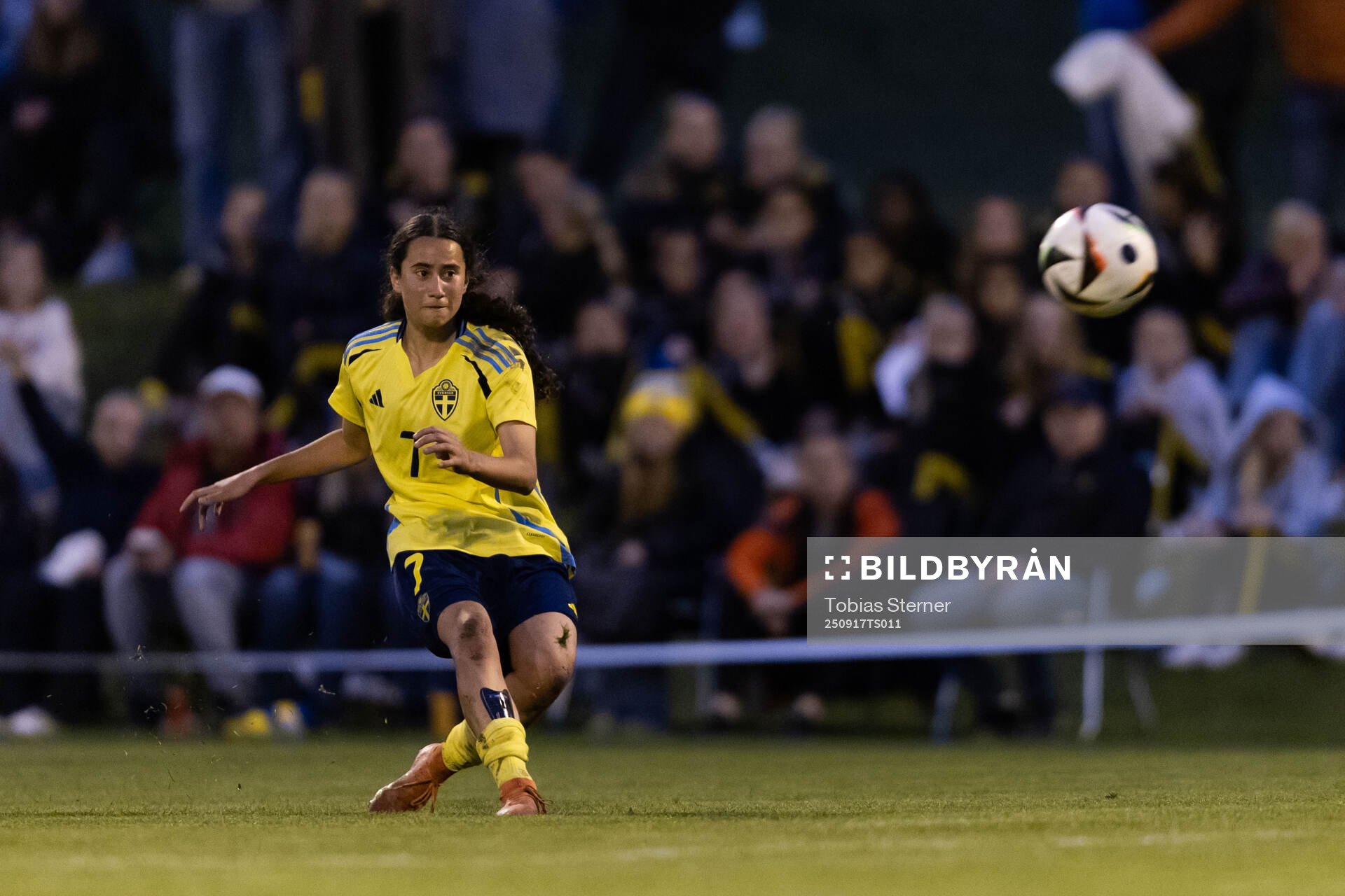 Sveriges Mayar Khatawi