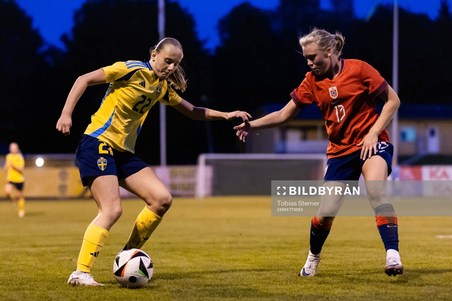 Sveriges Elvira Wide