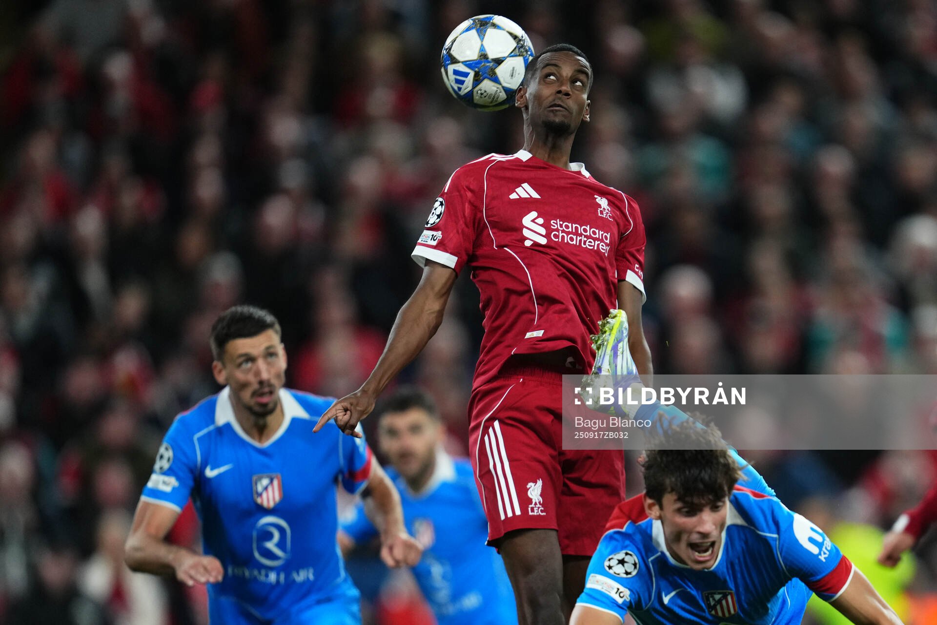 Alexander Isak of Liverpool