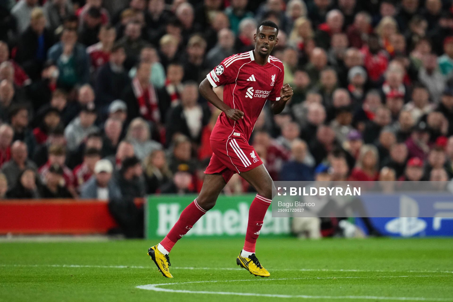 Alexander Isak of Liverpool