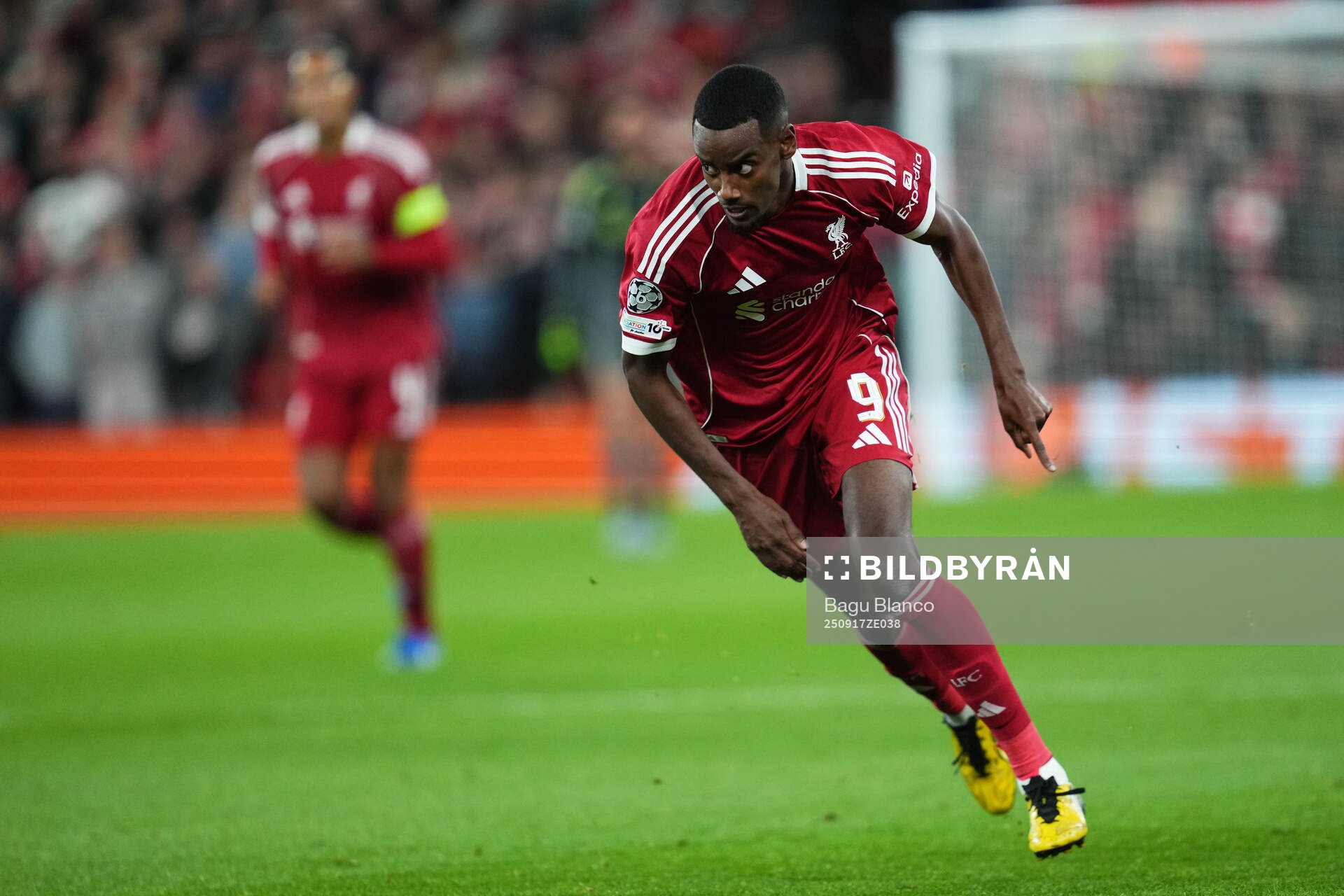 Alexander Isak of Liverpool