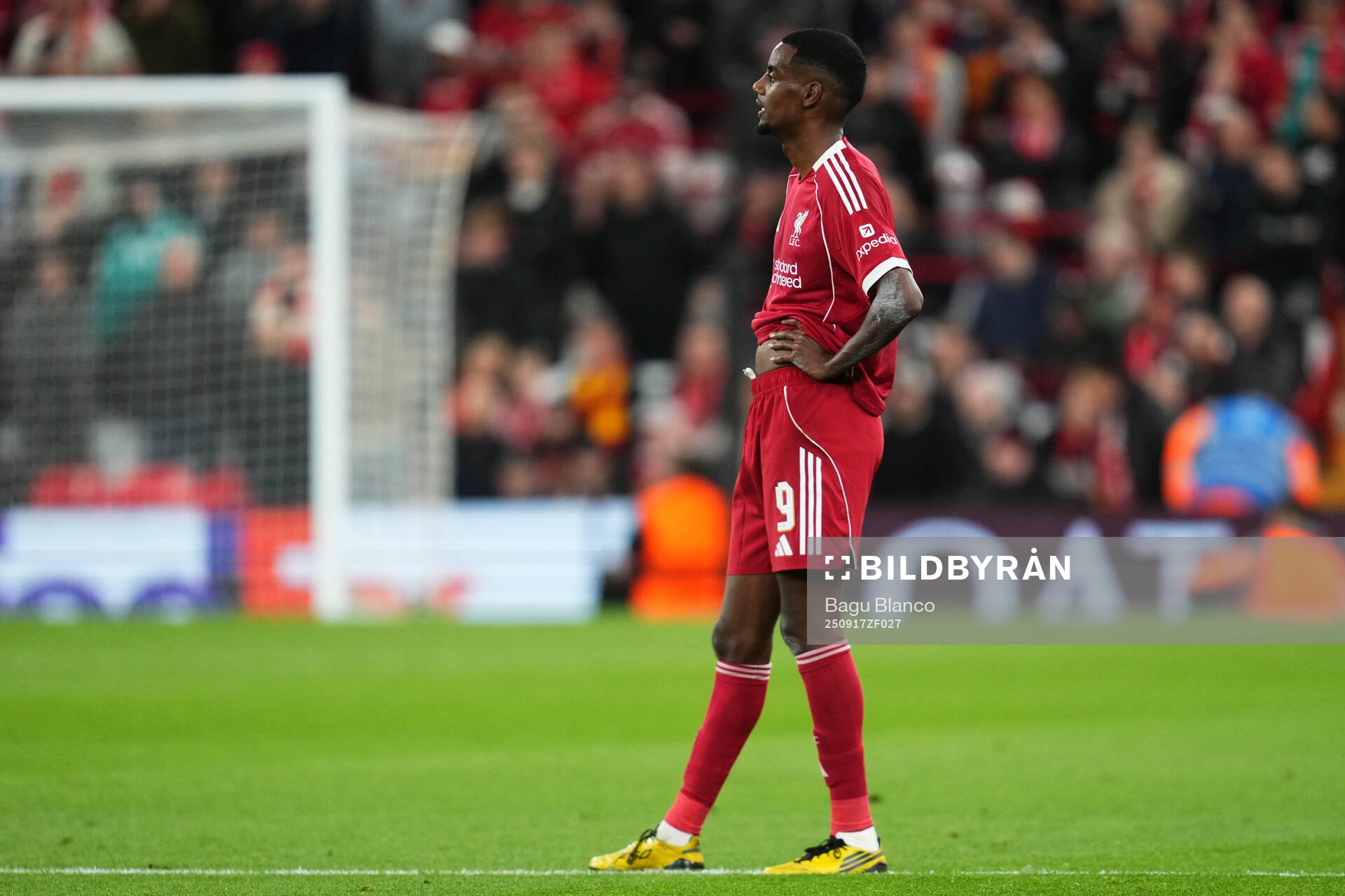 Alexander Isak of Liverpool looks dejected