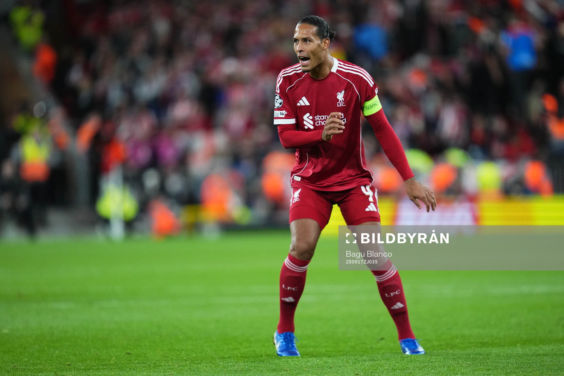Virgil van Dijk of Liverpool