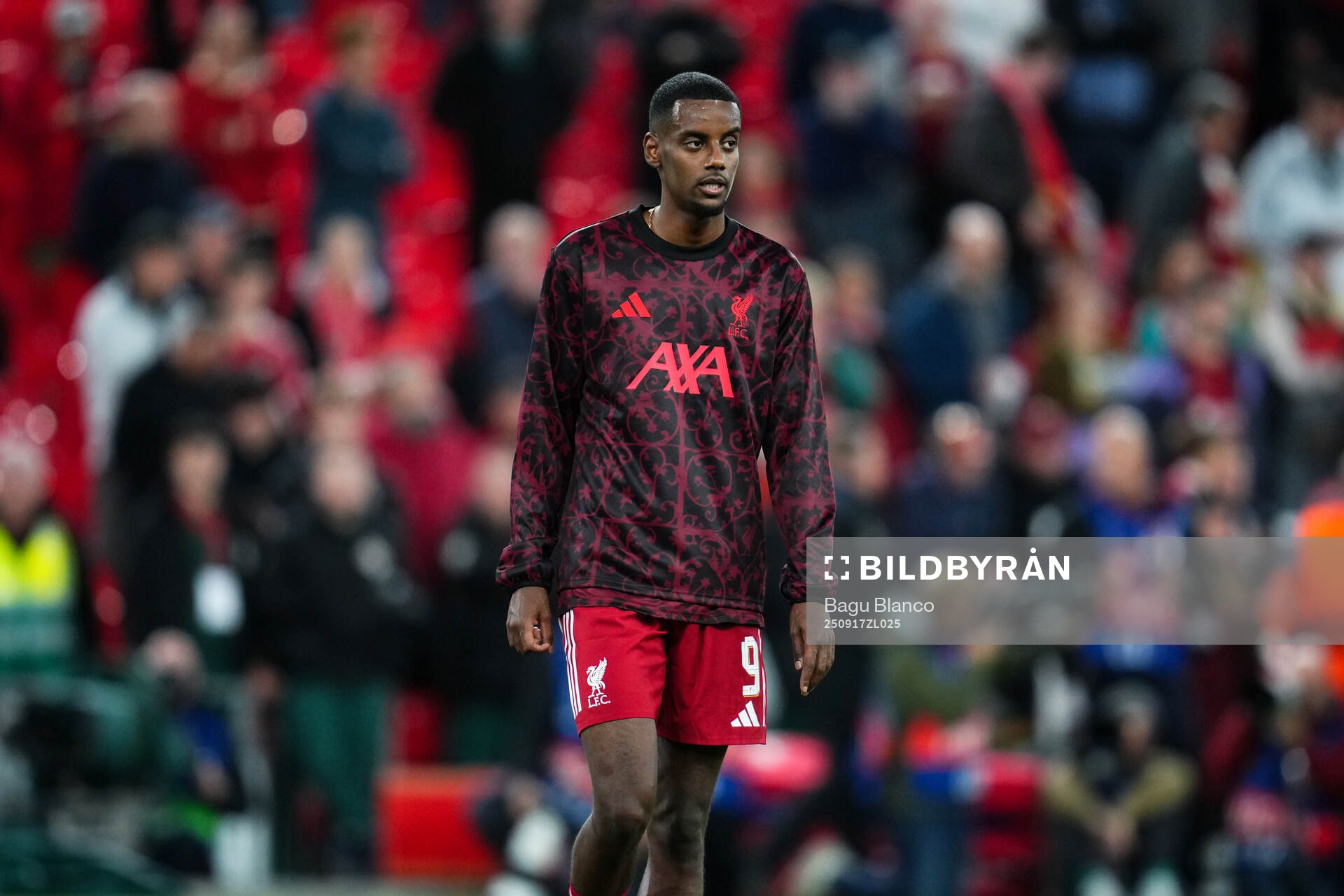 Alexander Isak of Liverpool