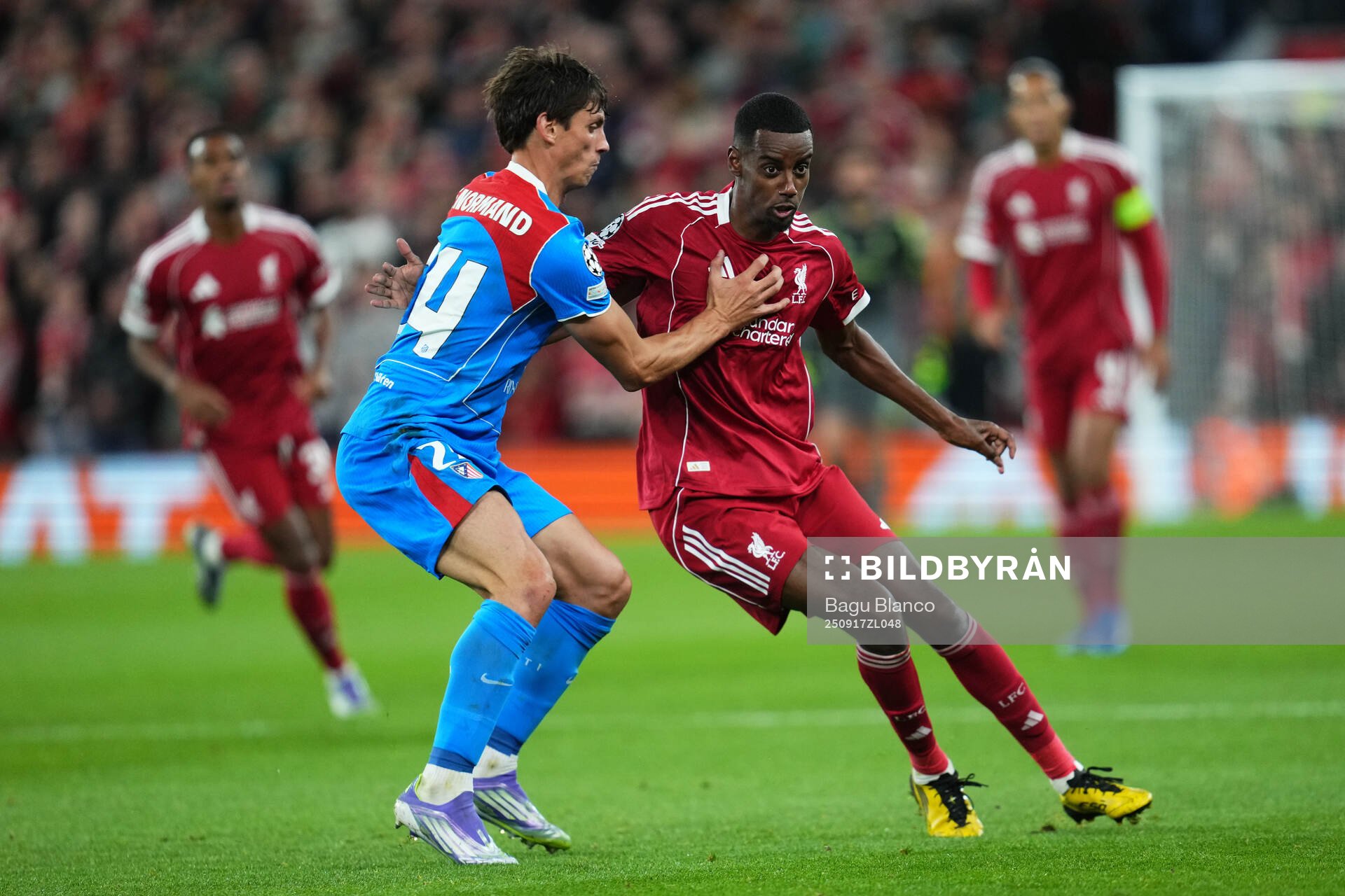 Alexander Isak of Liverpool