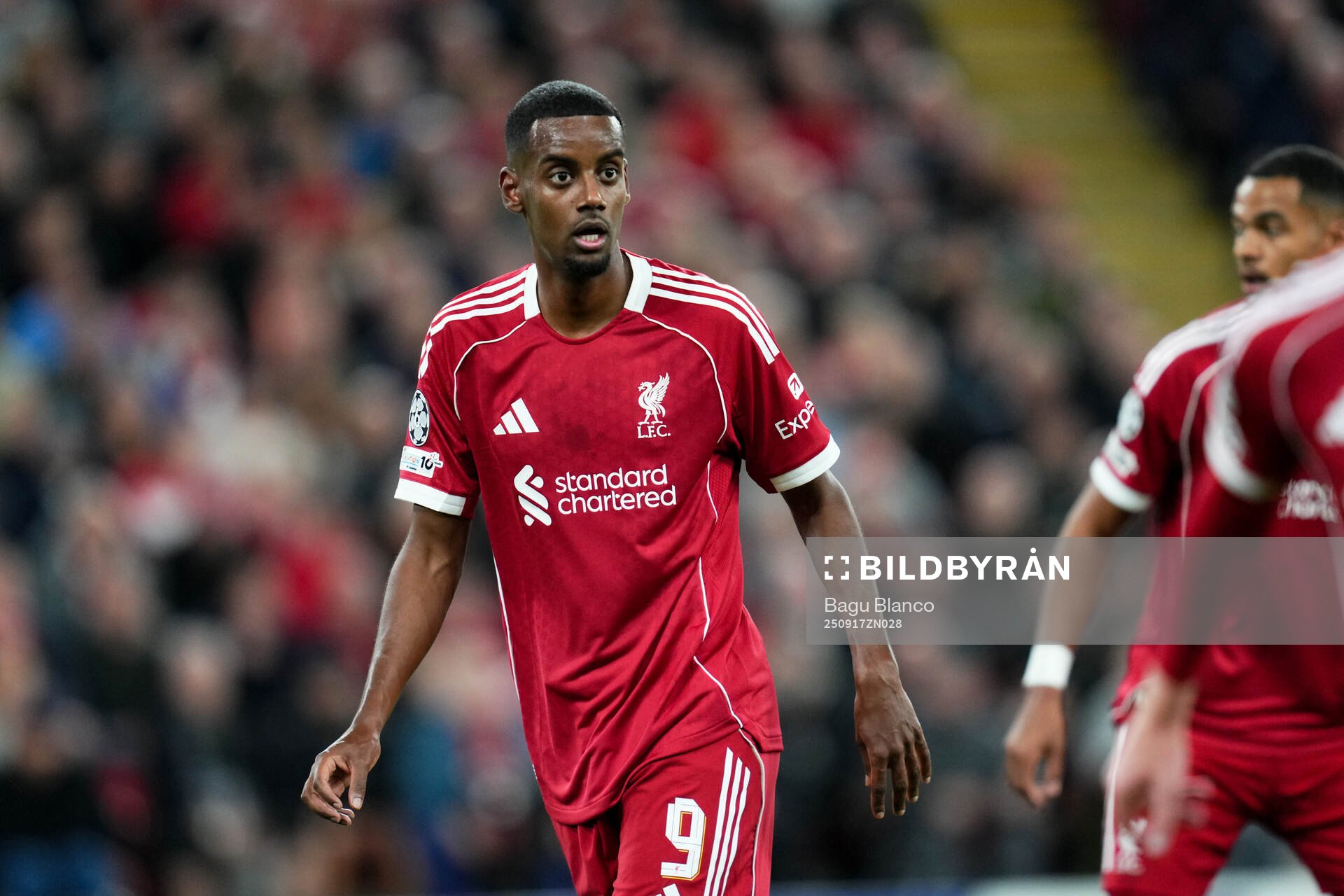 Alexander Isak of Liverpool