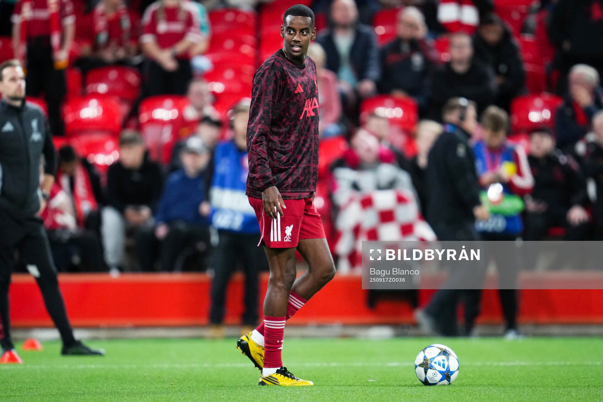 Alexander Isak of Liverpool