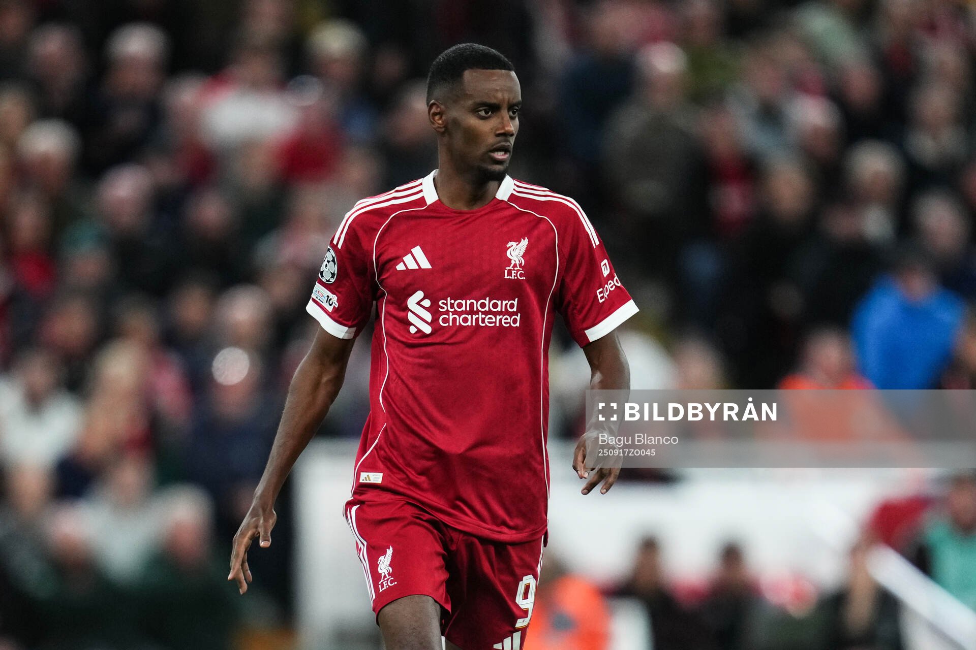 Alexander Isak of Liverpool